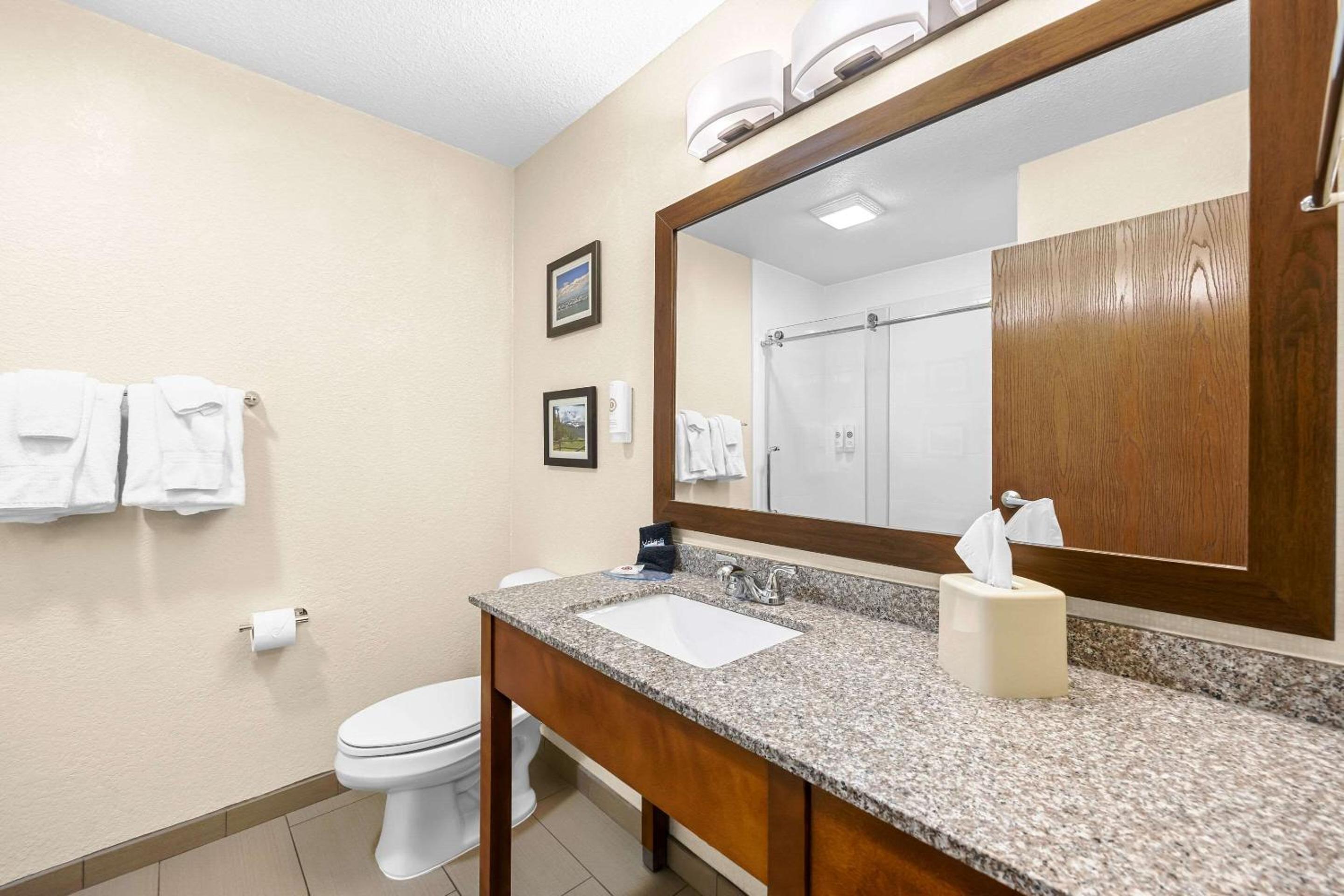 King Suite - Non-Smoking - Photo 3