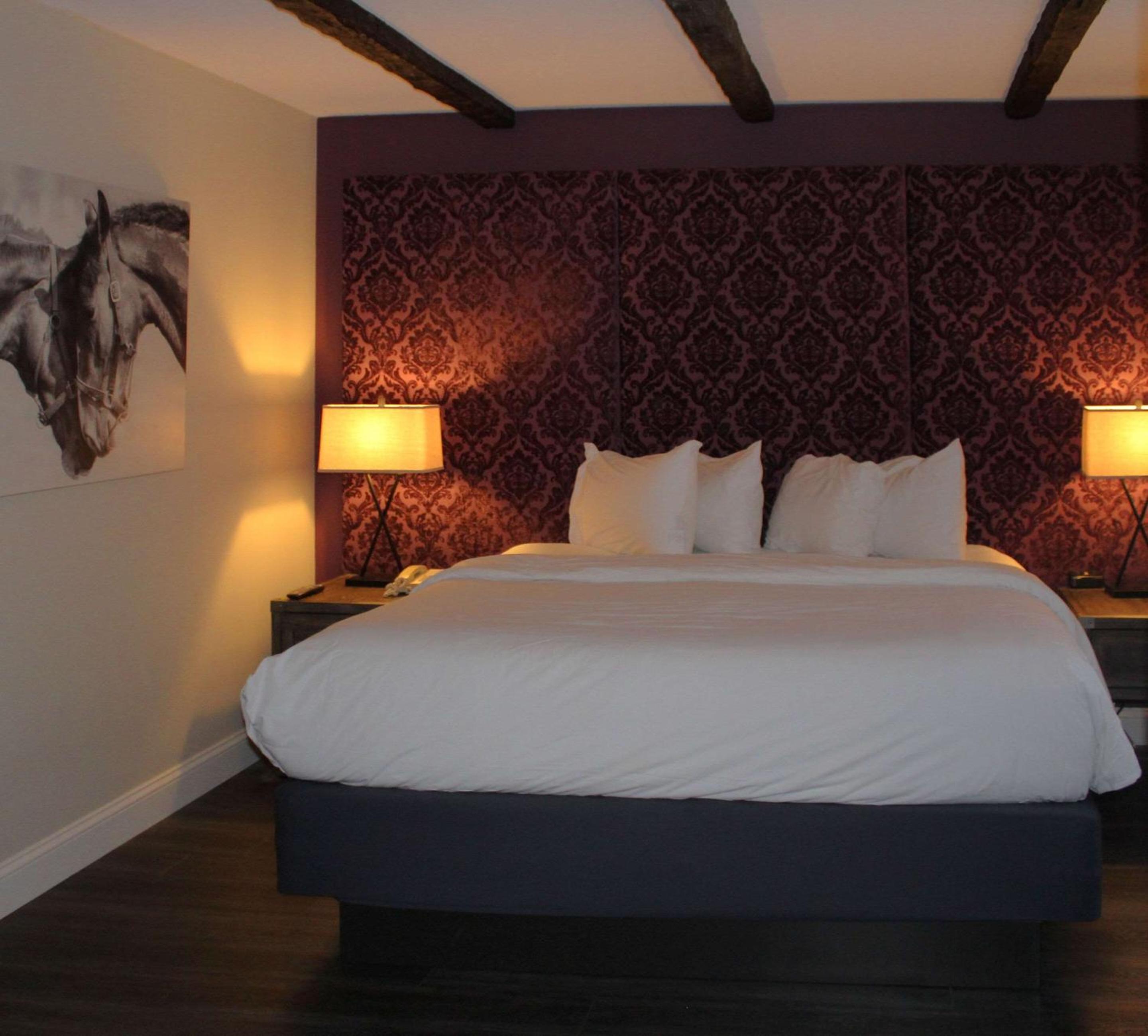 Business King Room - Non-Smoking - Photo 1