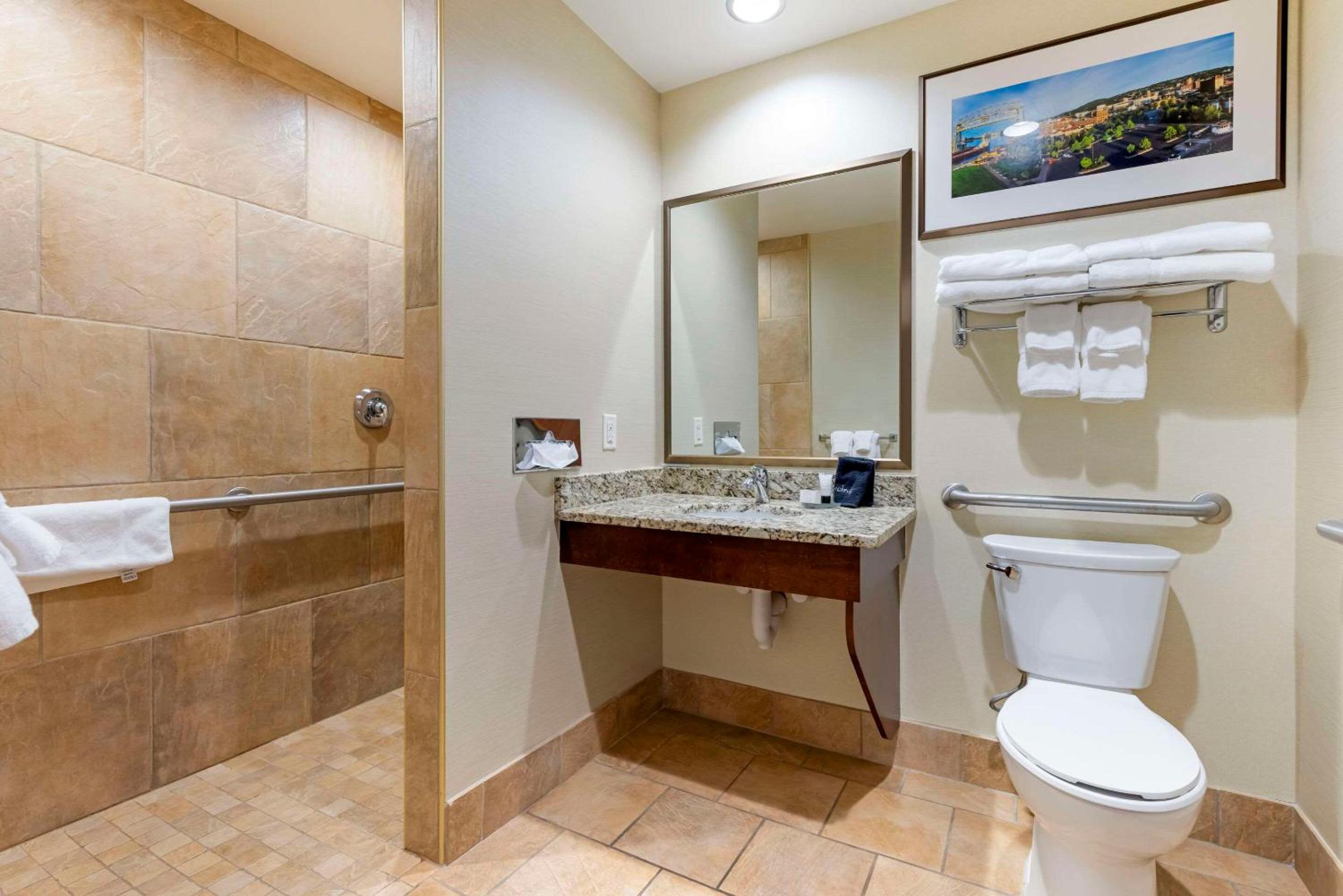 King Suite - Accessible/Non-Smoking photo 3