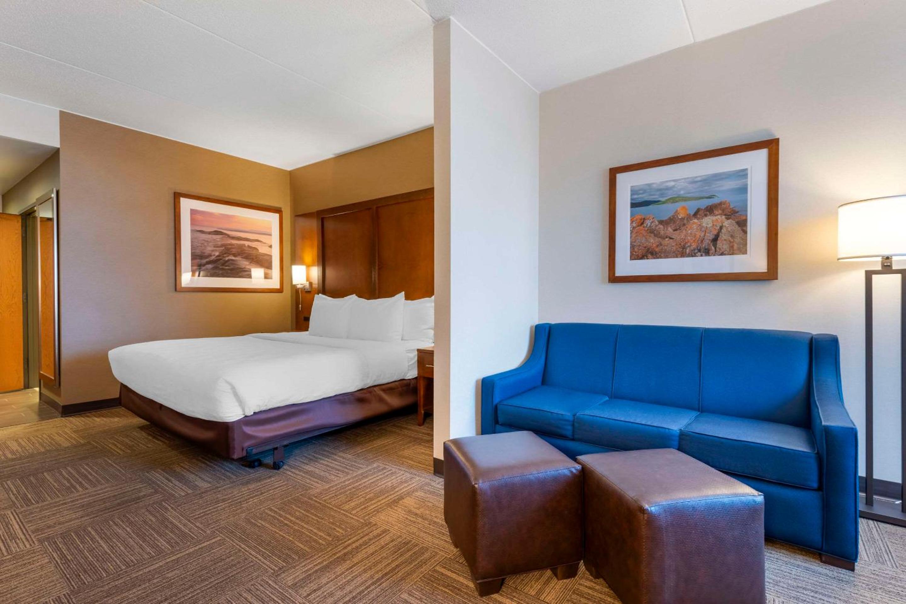 King Suite - Mobility Accessible/Non-Smoking - Photo 2
