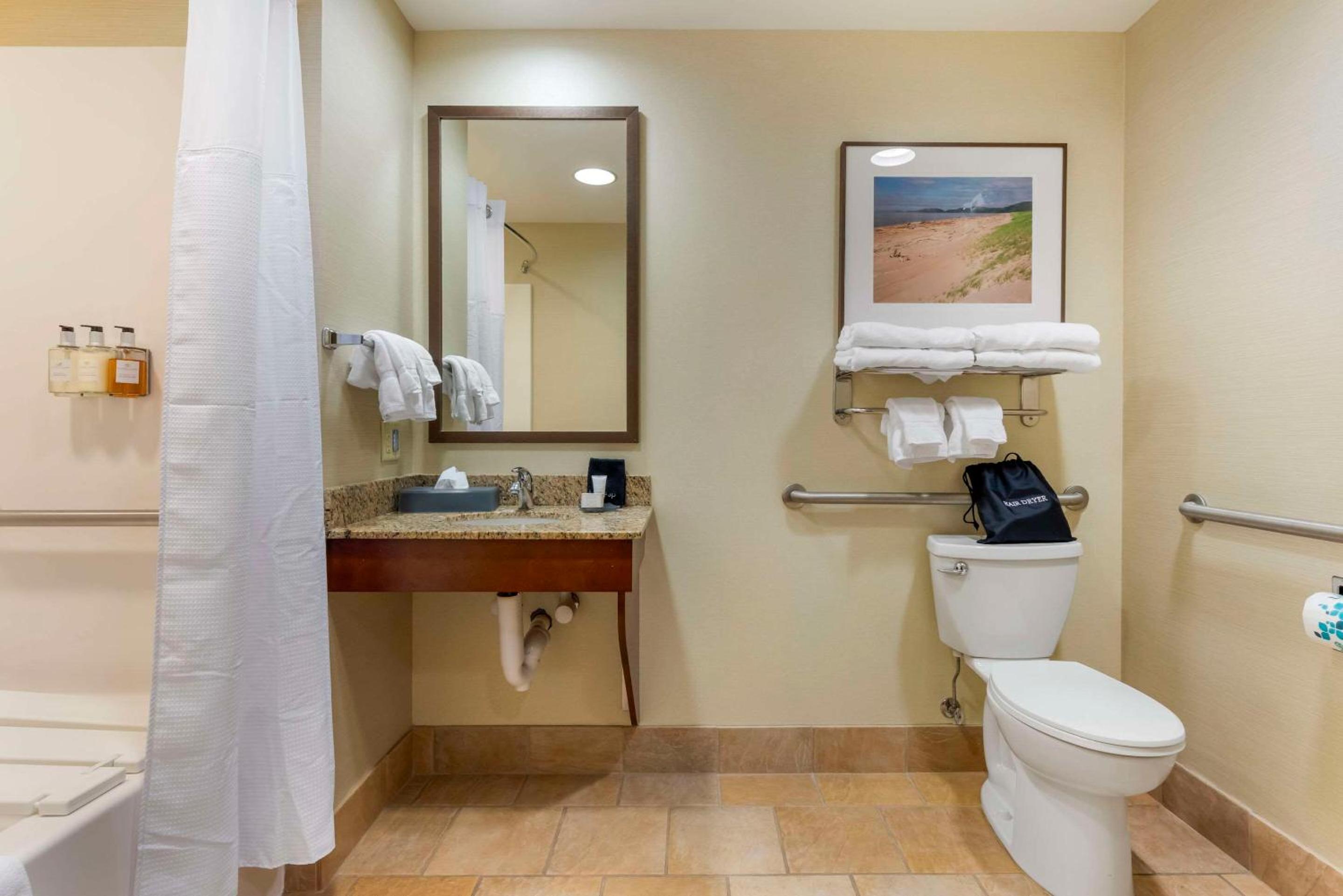 King Suite - Mobility Accessible/Non-Smoking - Photo 4