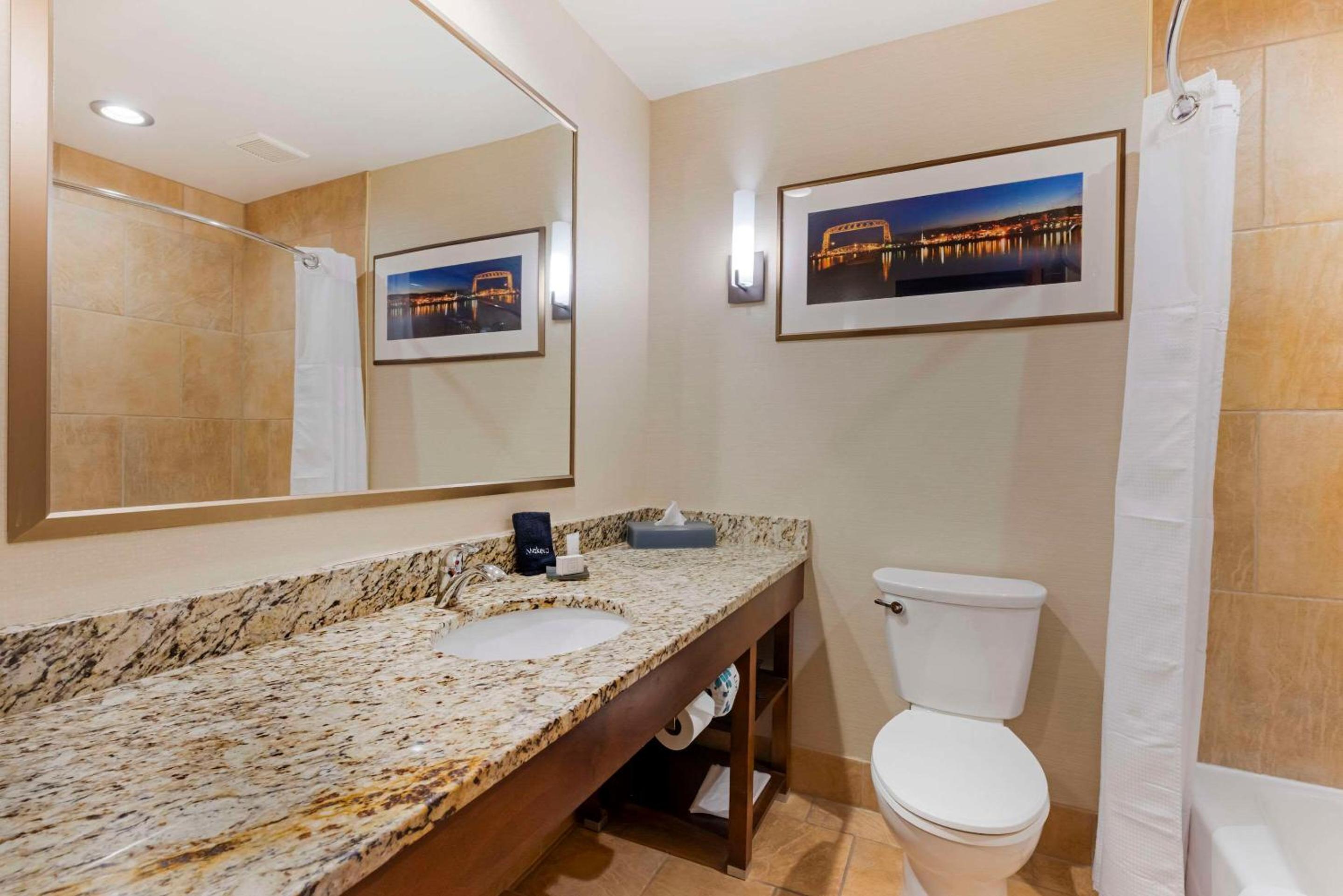King Suite with Sofa Bed-Lake View - Photo 4