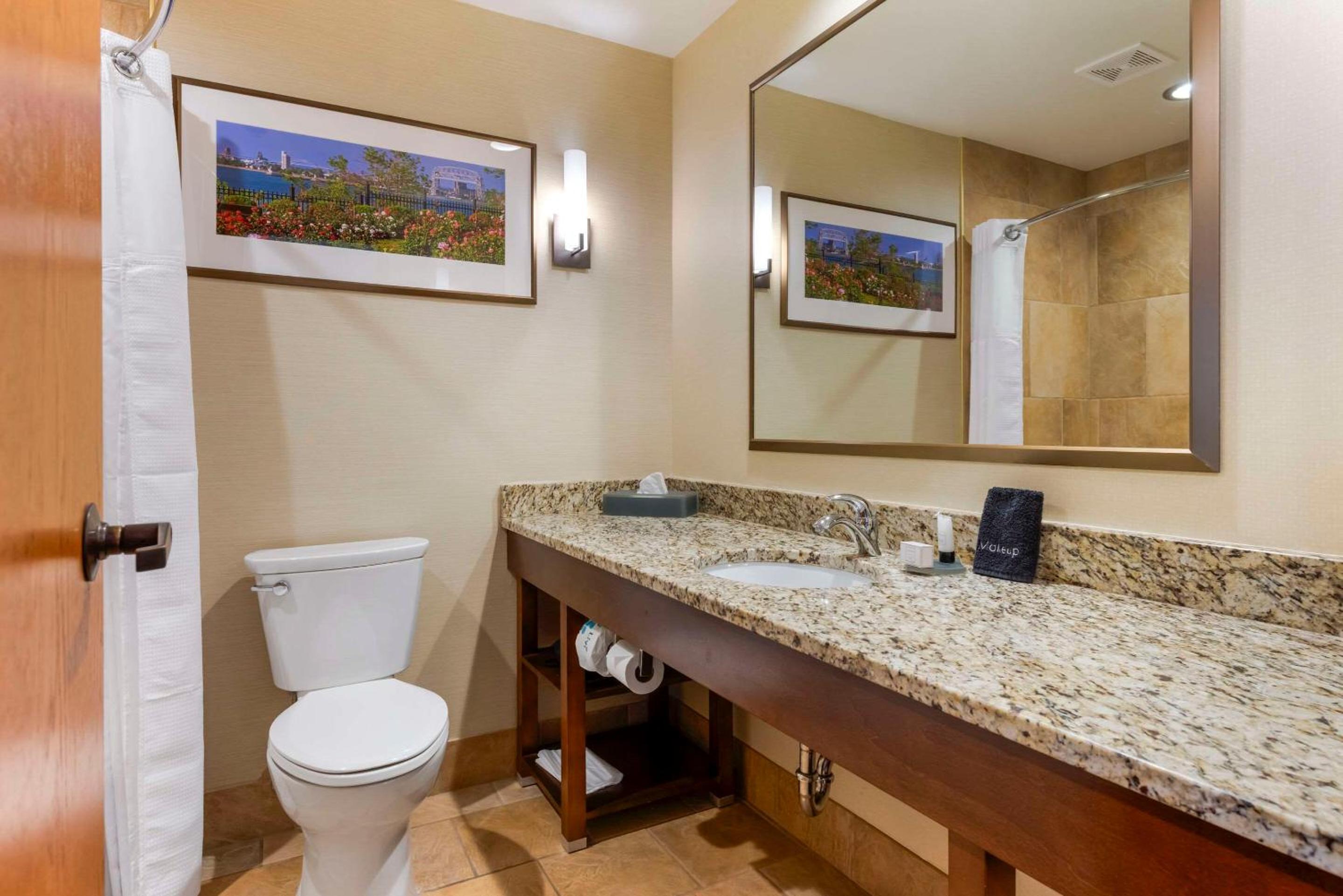 King Suite - Non-Smoking - Photo 3