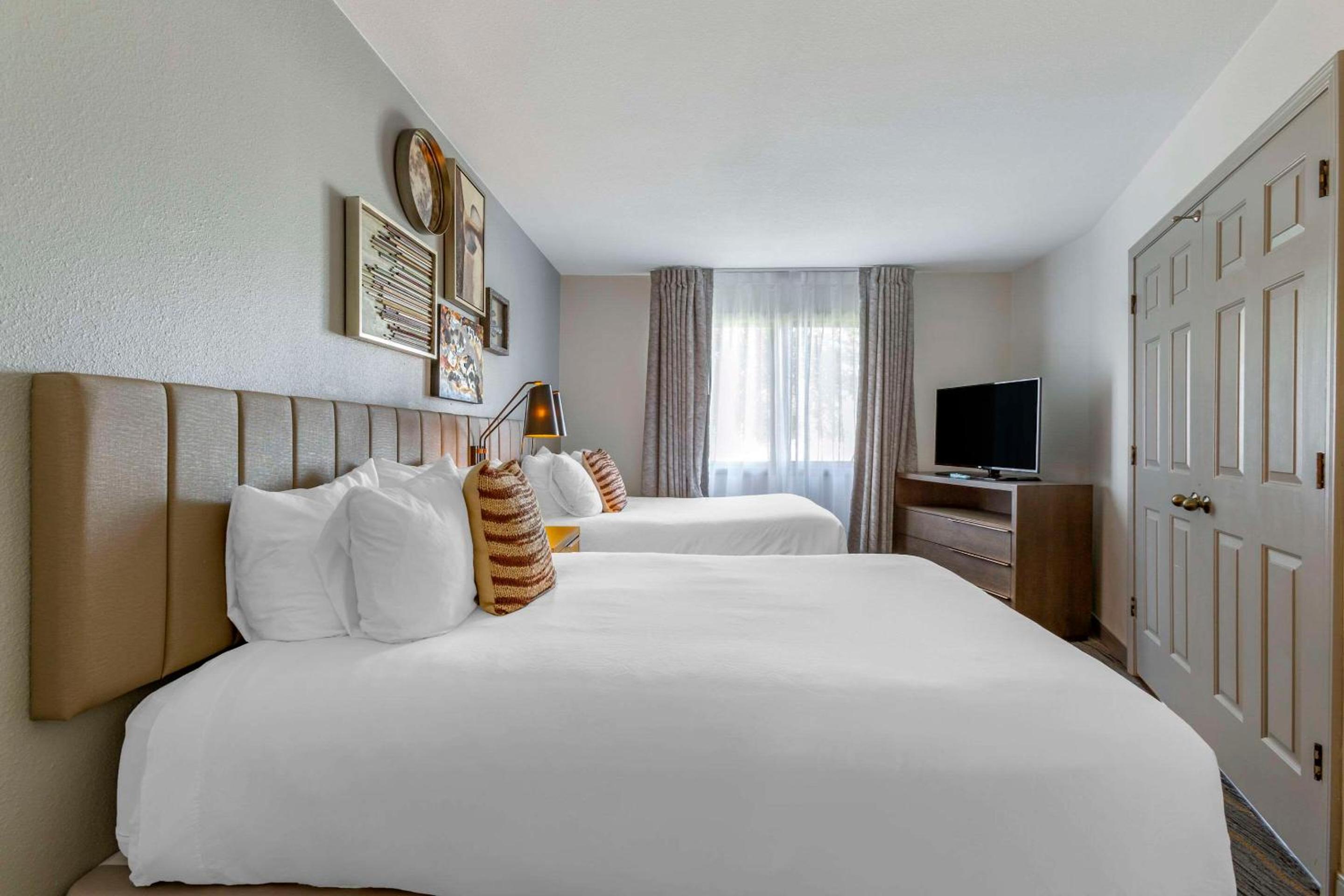 Standard Suite with Two Double Beds - Photo 1