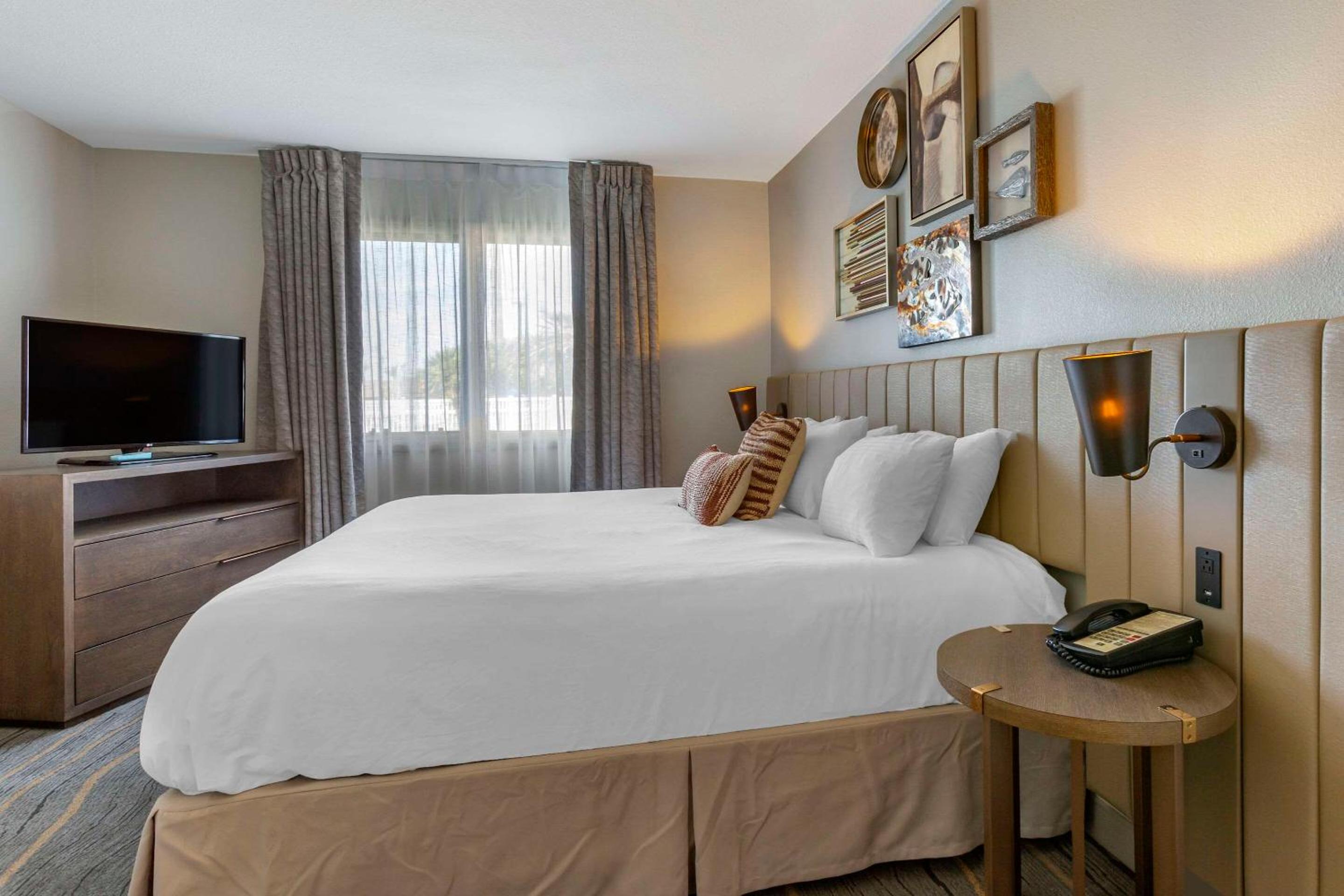 Standard King Suite - Photo 1