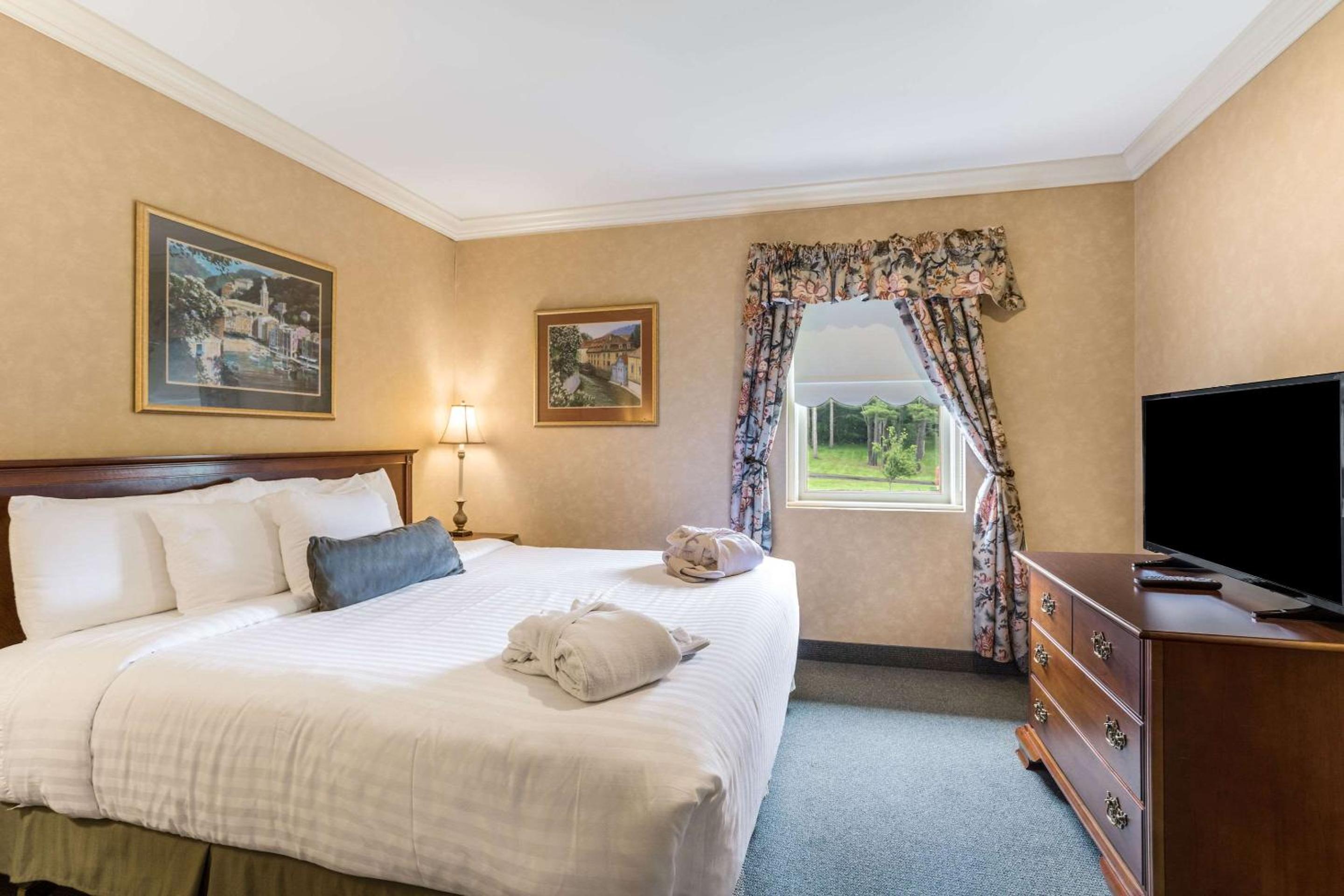 Standard King Suite with Sofa Bed - Non-Smoking - Photo 3