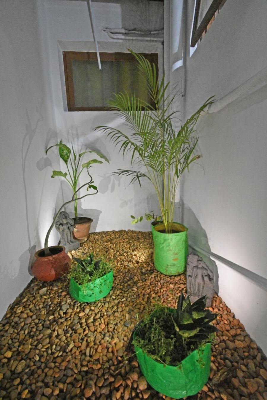 Double Room with Private Bathroom photo 2