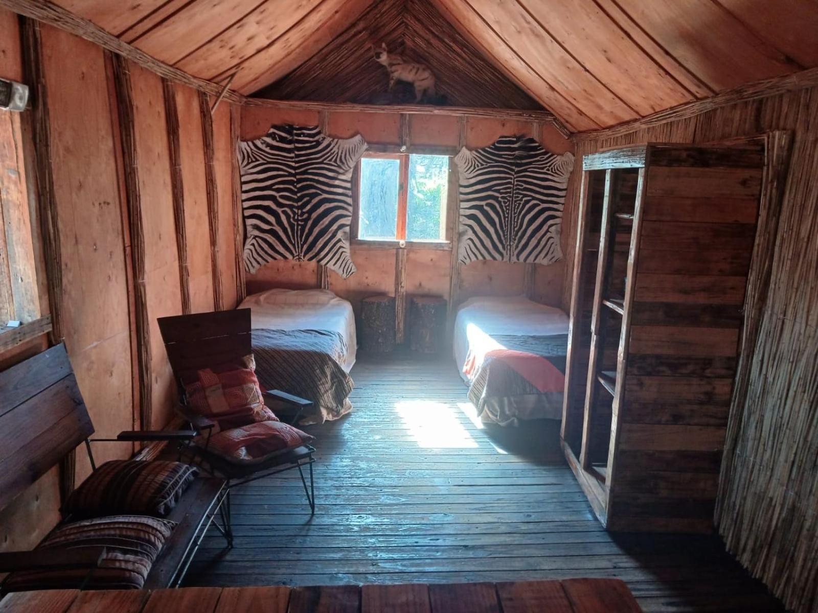 Large Twin Room photo 1