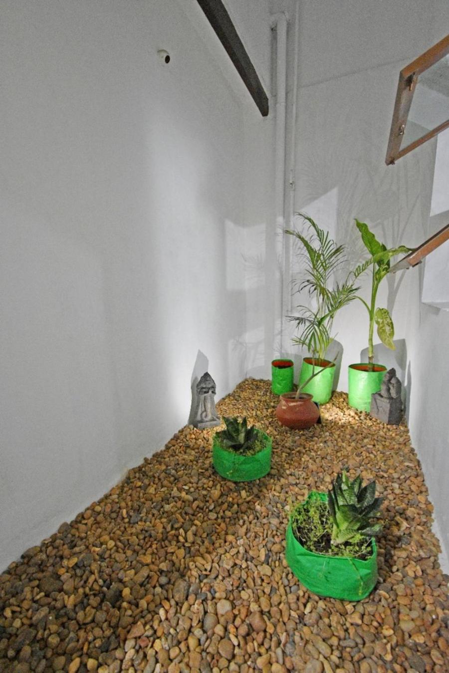 Double Room with Private Bathroom photo 3
