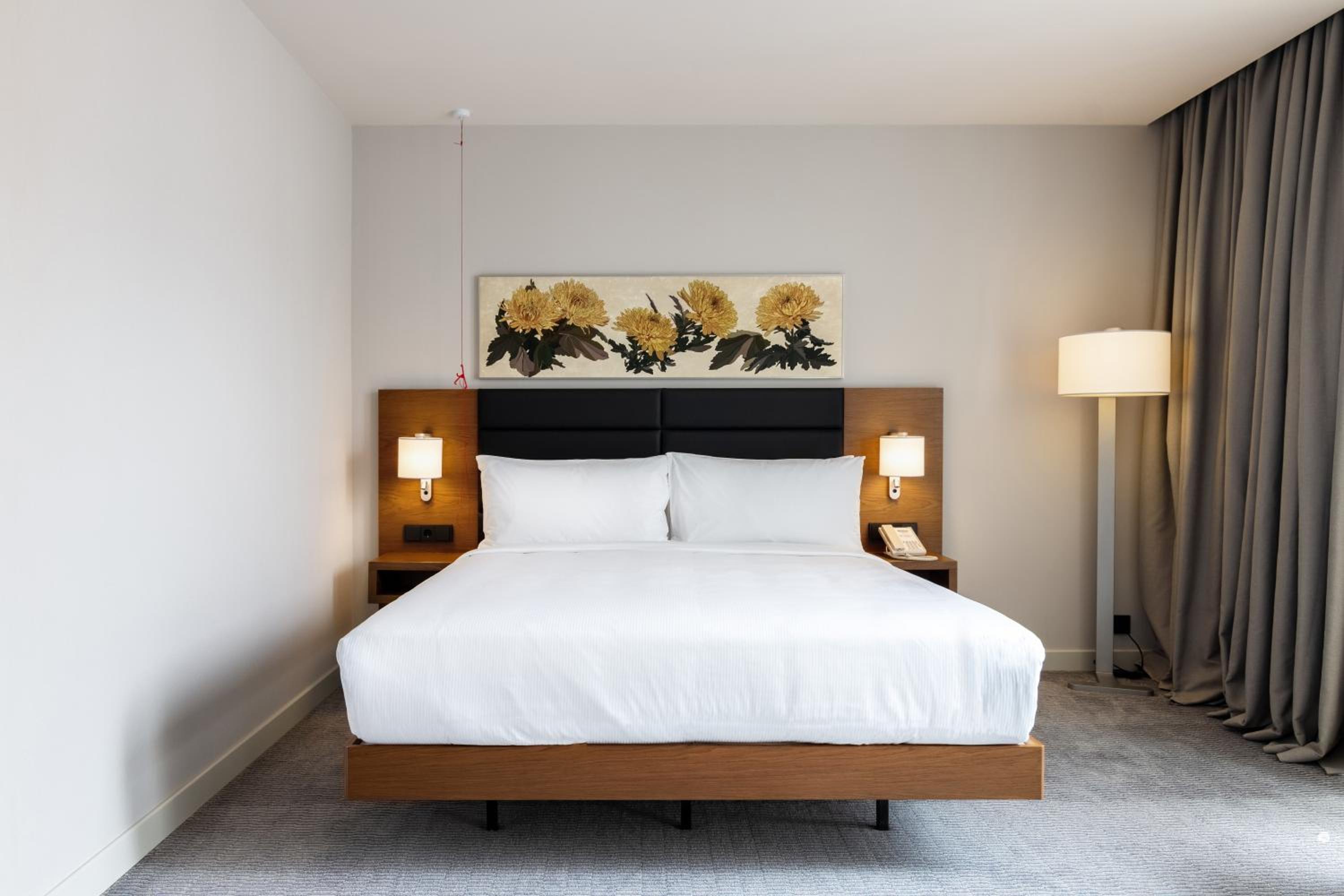 King Room - Mobility Accessible - Photo 1