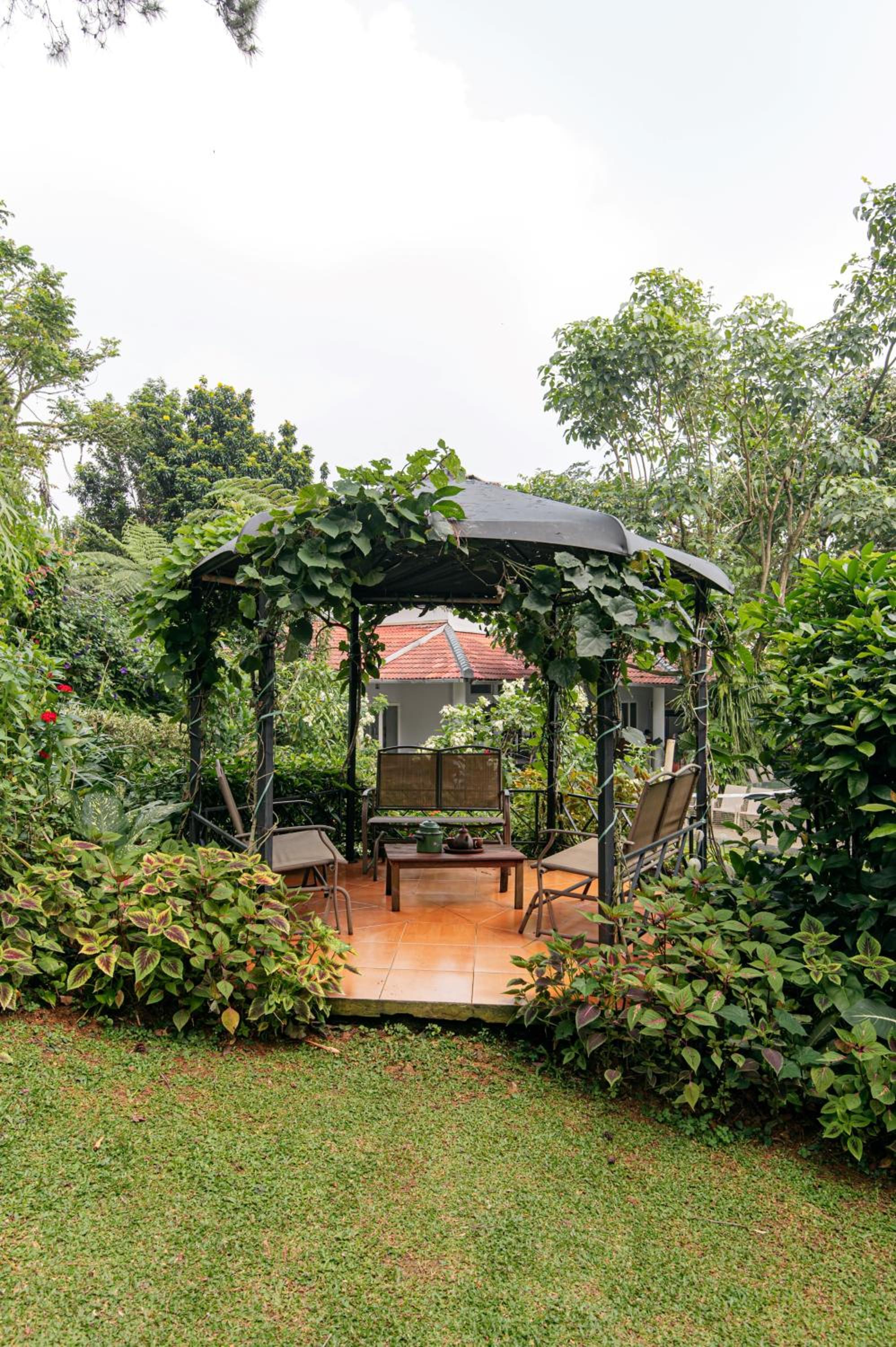 Superior Villa photo 3