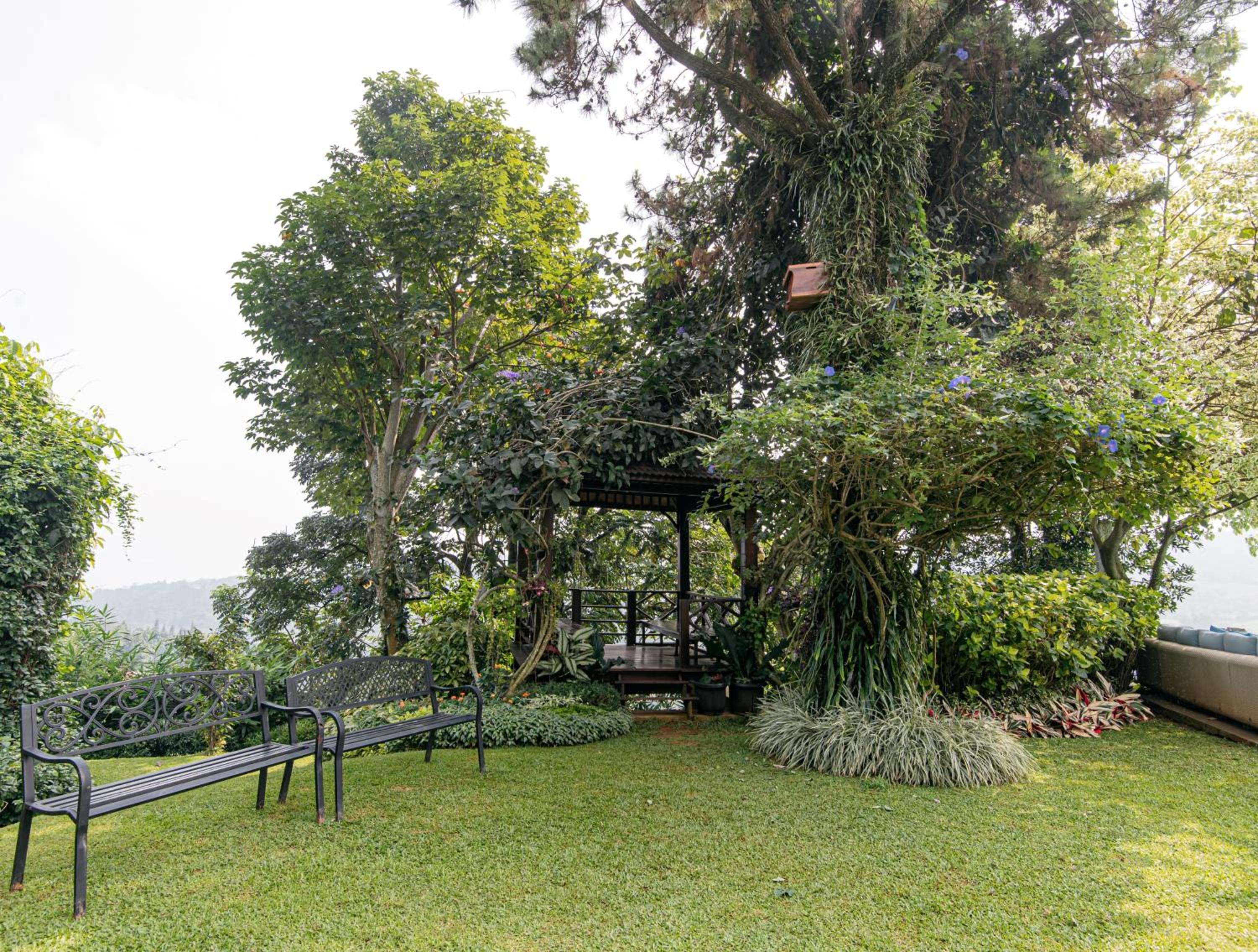 Deluxe Villa photo 2
