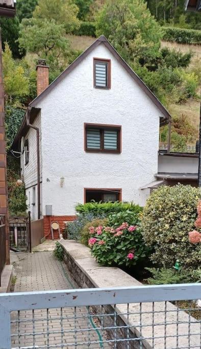 One-Bedroom House photo 2