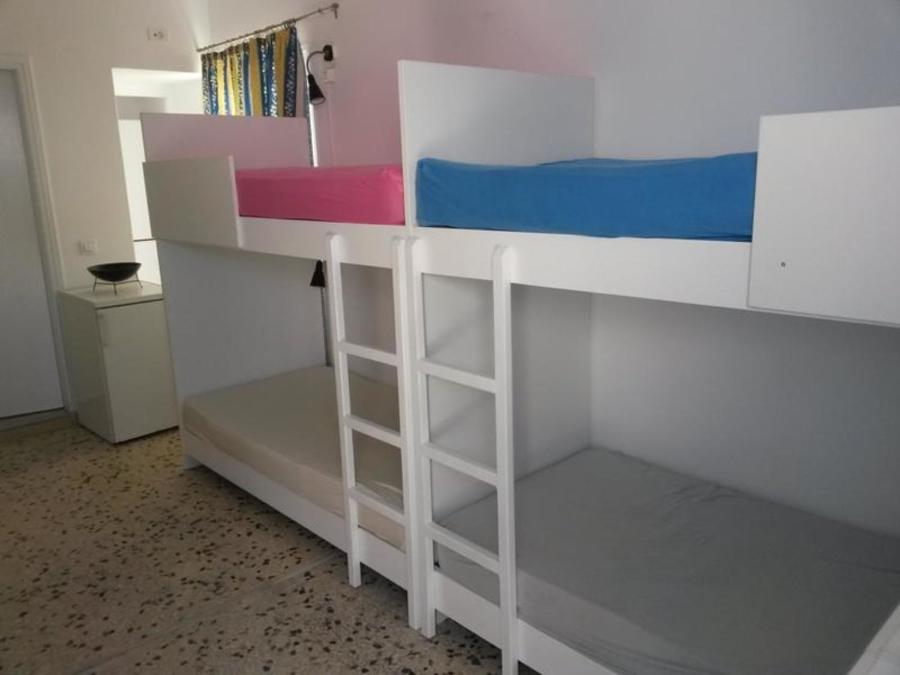 Bed in 6-Bed Mixed Dormitory Room