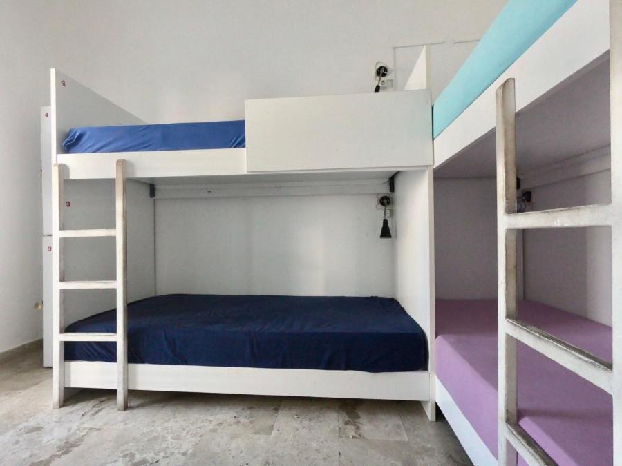6-Bed Mixed Dormitory Room