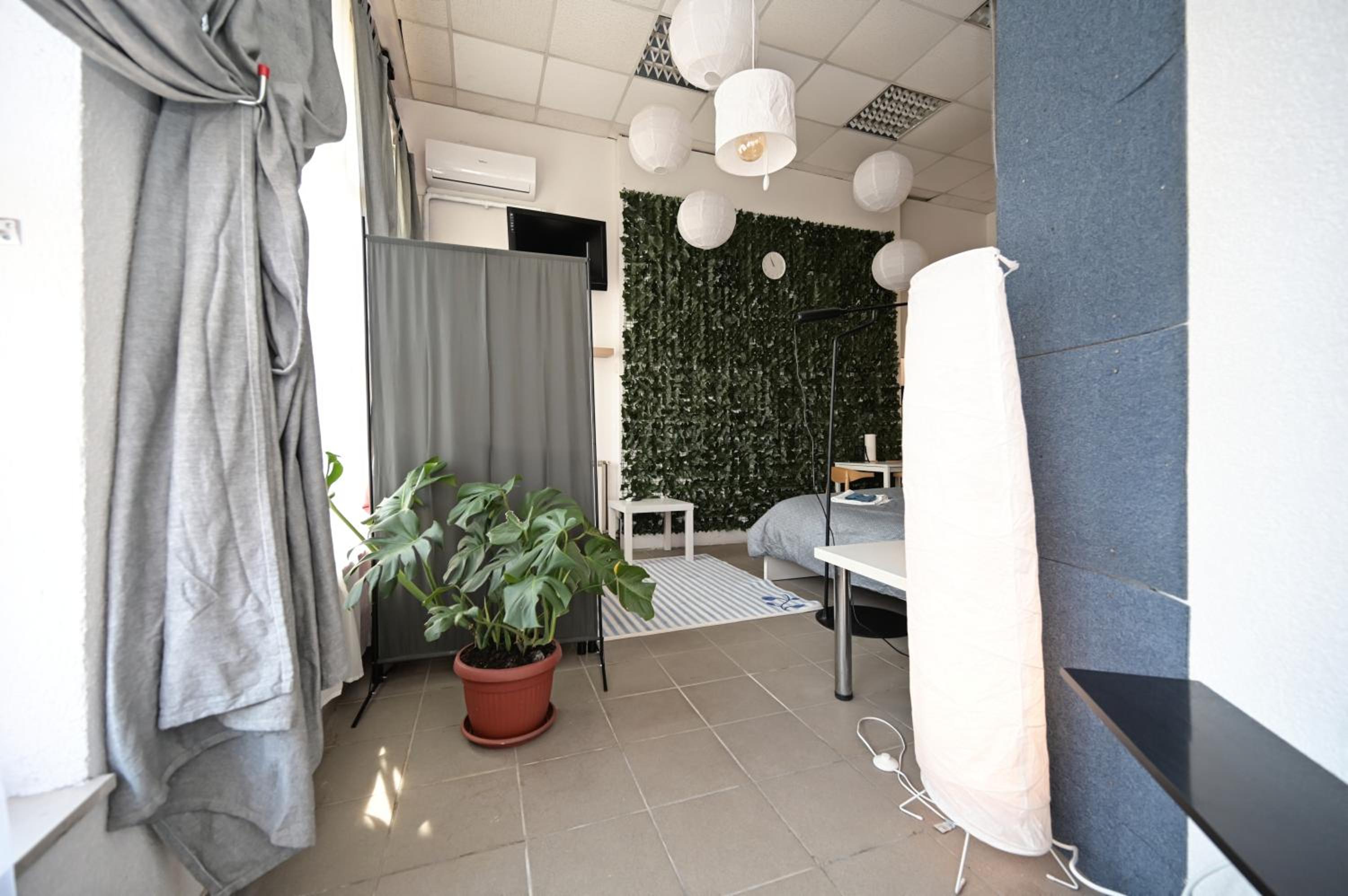 Family Studio