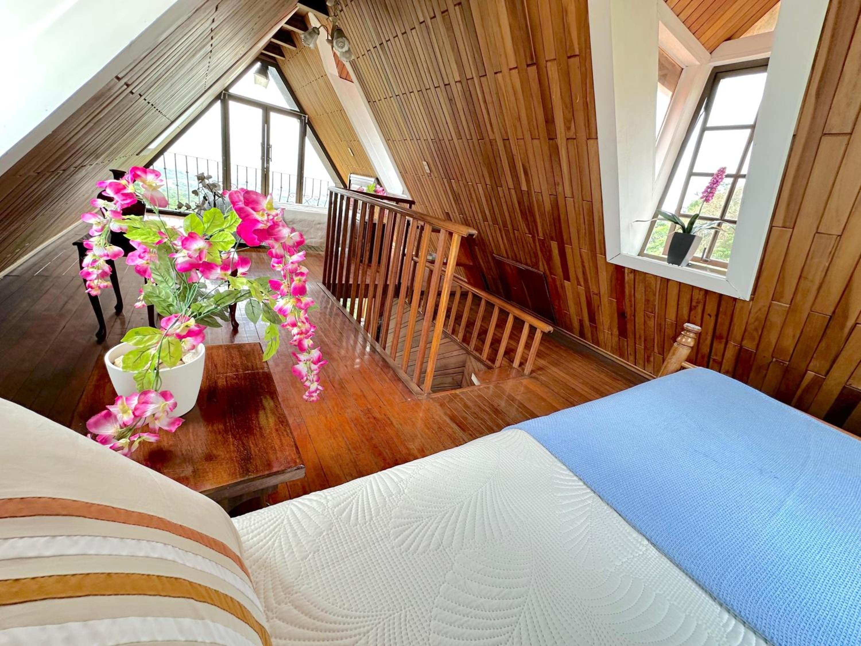Superior Quadruple Room photo 1