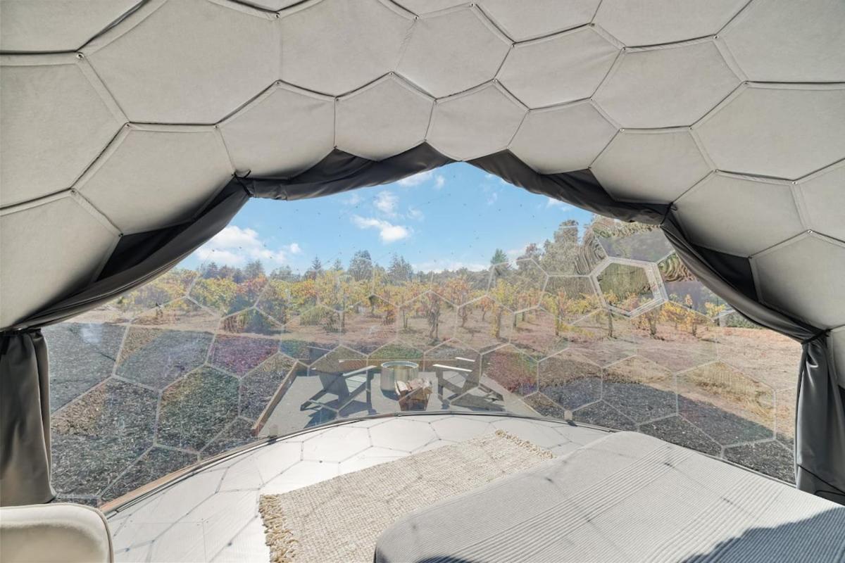 Tent photo 2