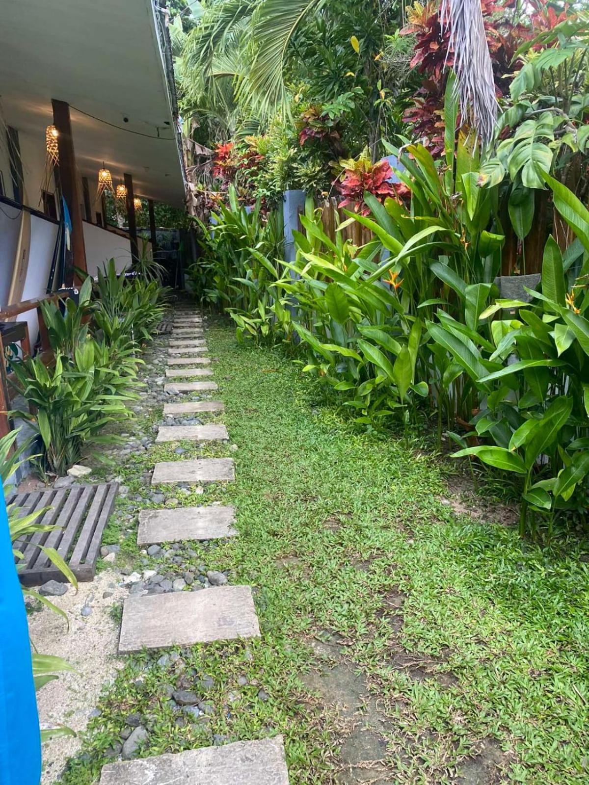 Studio with Garden View photo 2