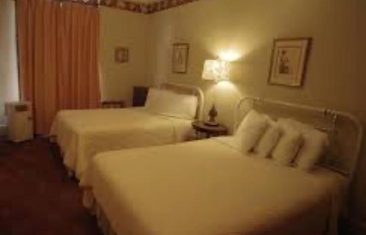 Standard Suite photo 3