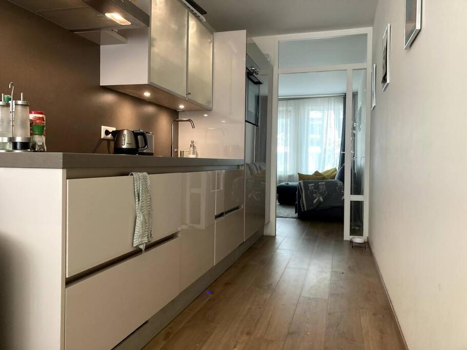 One-Bedroom Apartment photo 3