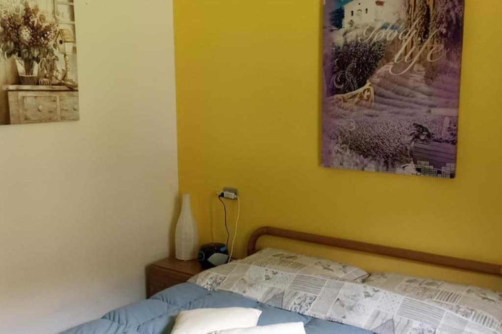One-Bedroom Apartment photo 3