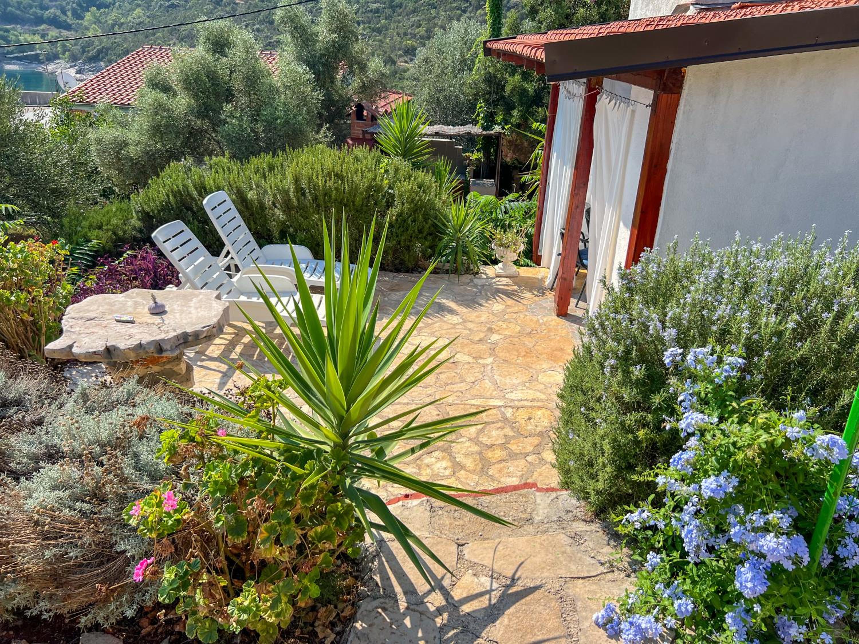 Vacation Home photo 3