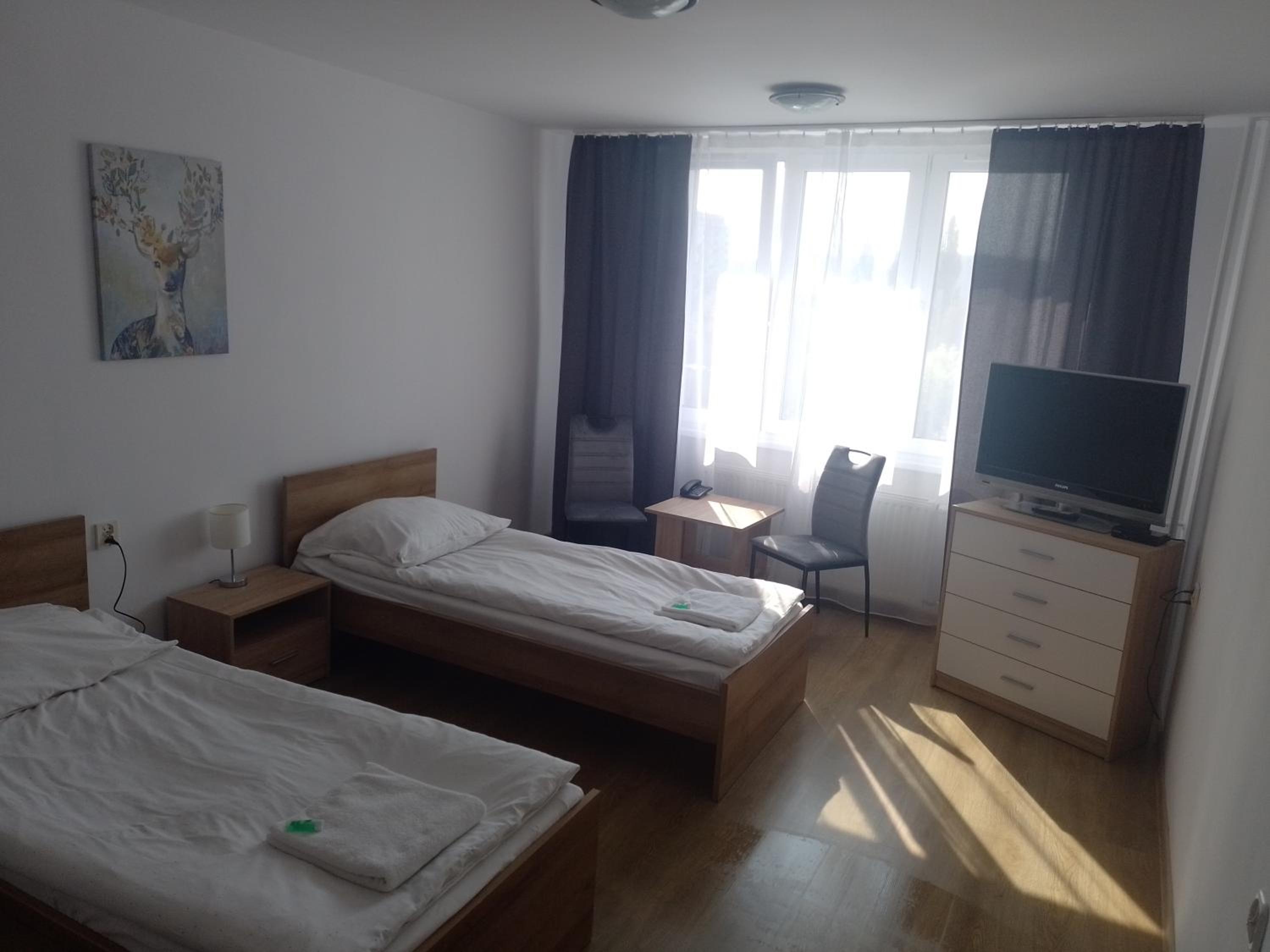 Large Twin Room - Photo 9