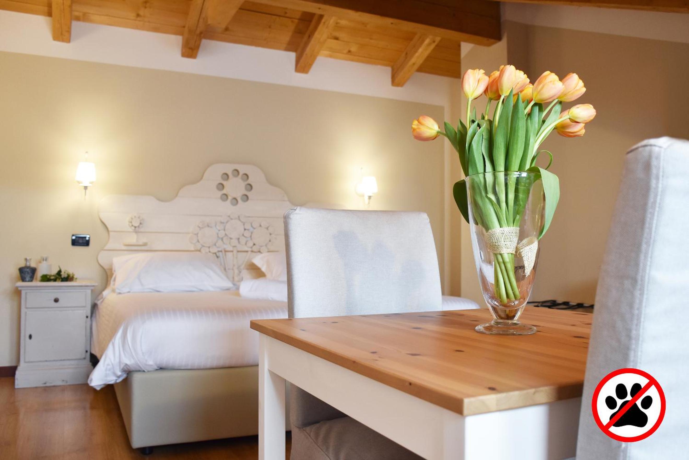 Junior Suite - Photo 1