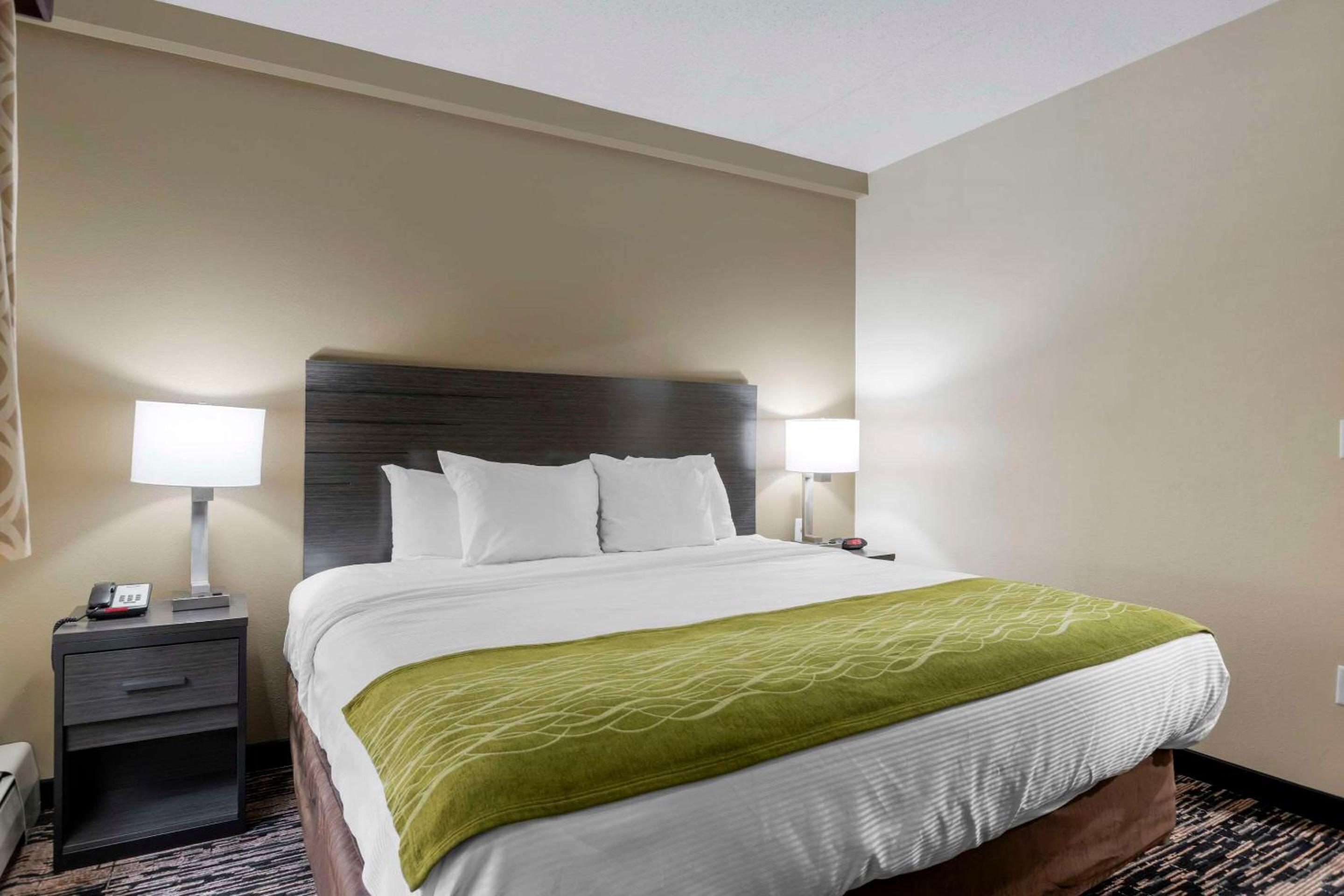One-Bedroom King Suite with Sofa Bed photo 1