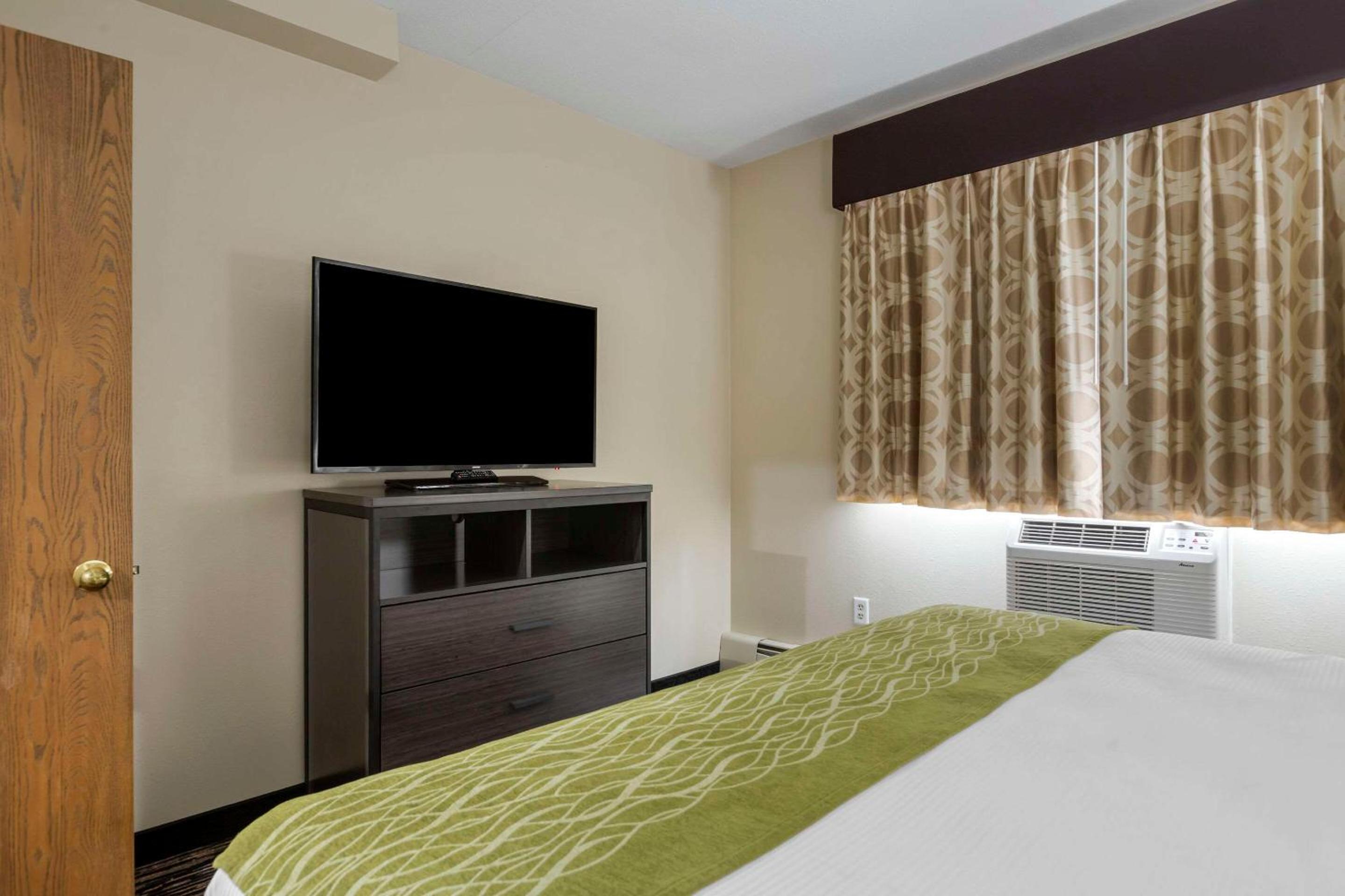 One-Bedroom King Suite with Sofa Bed photo 3