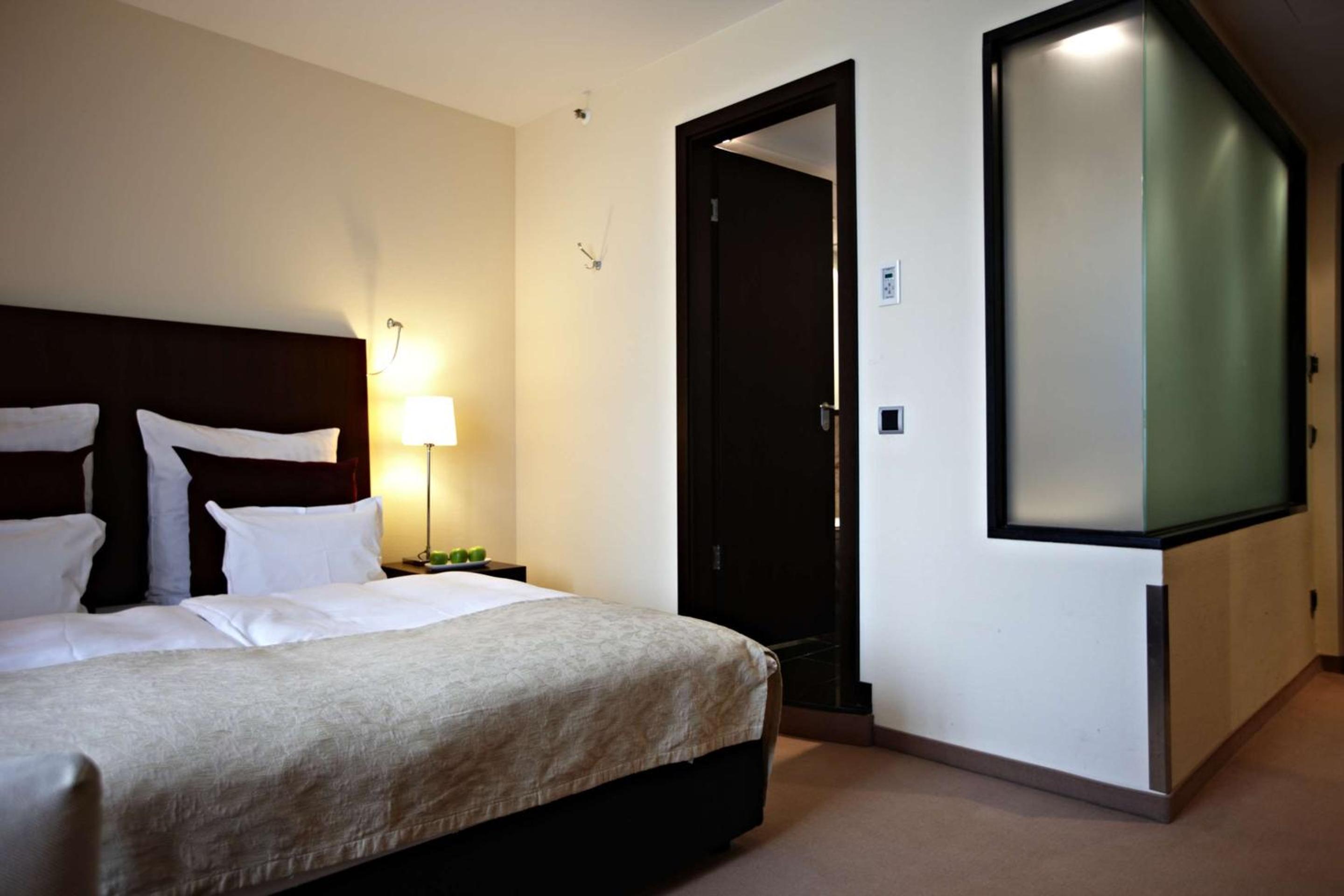 Superior Plus King Room photo 3