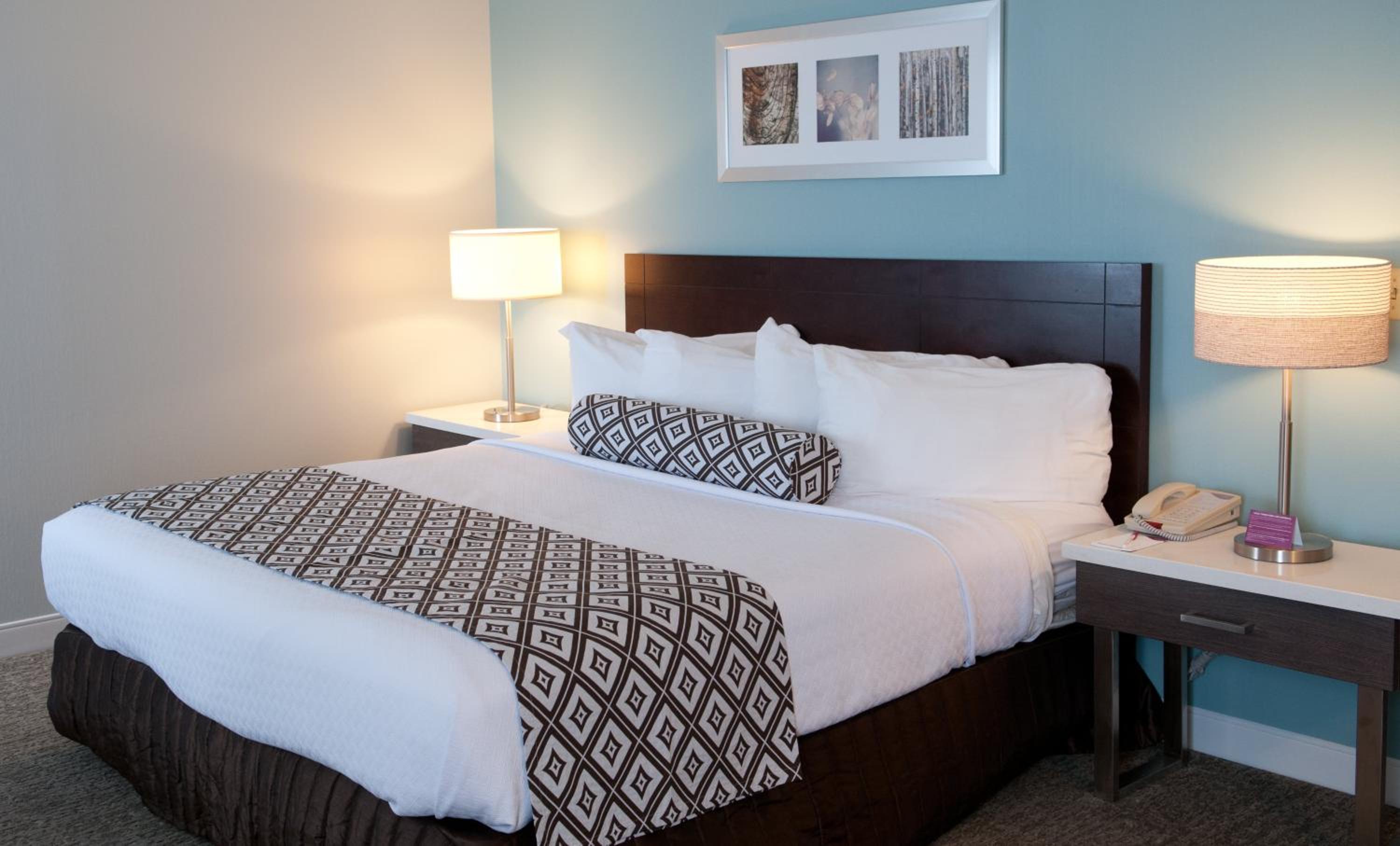 Standard Queen Room with Mobility Accessible Roll-In Shower