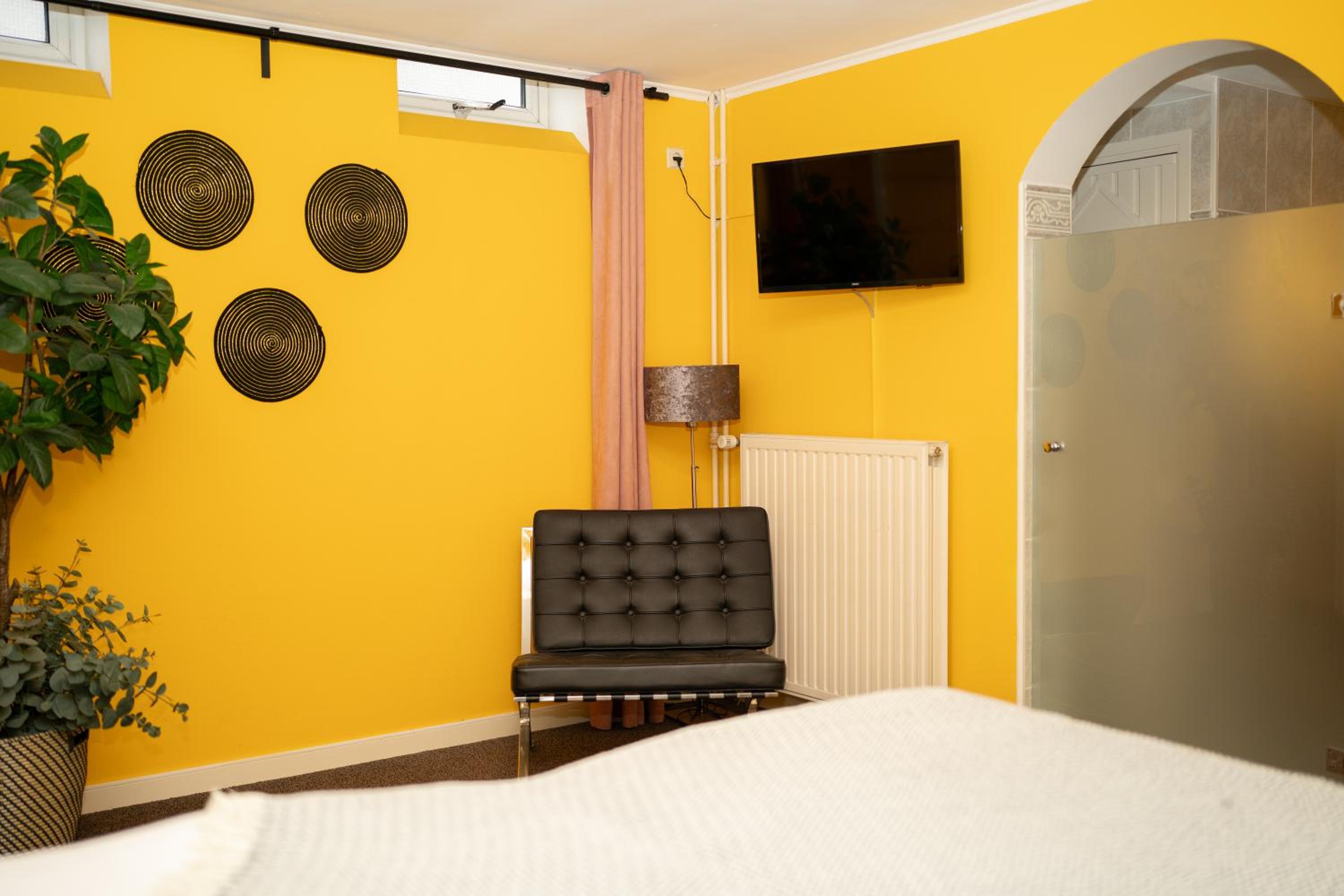 Basement Room with Bath - Photo 1