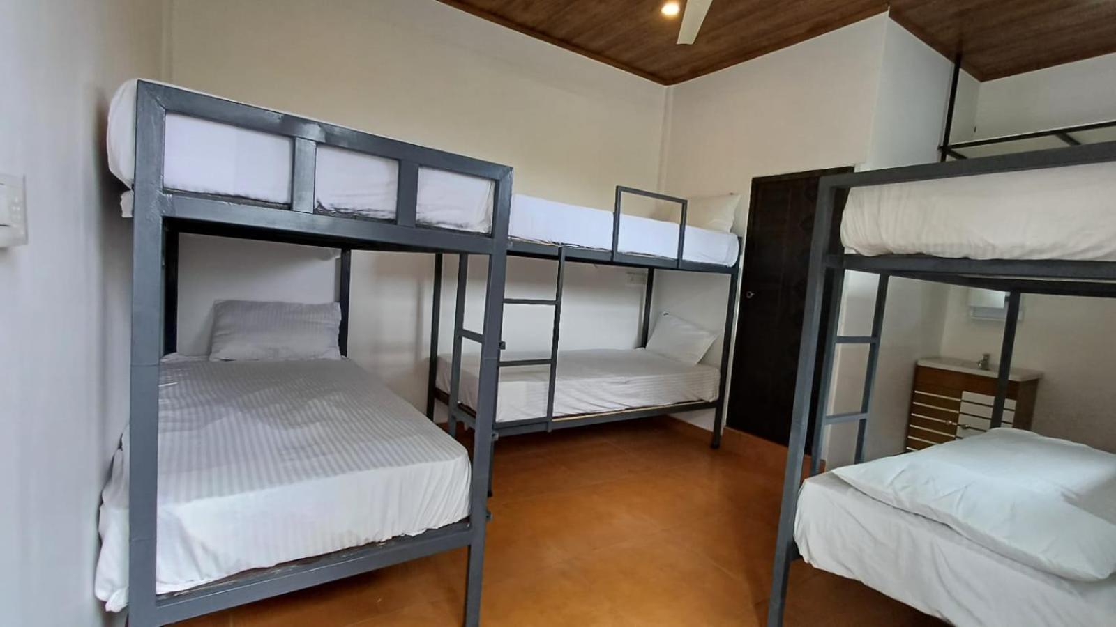 6-Bed Mixed Dormitory Room photo 1