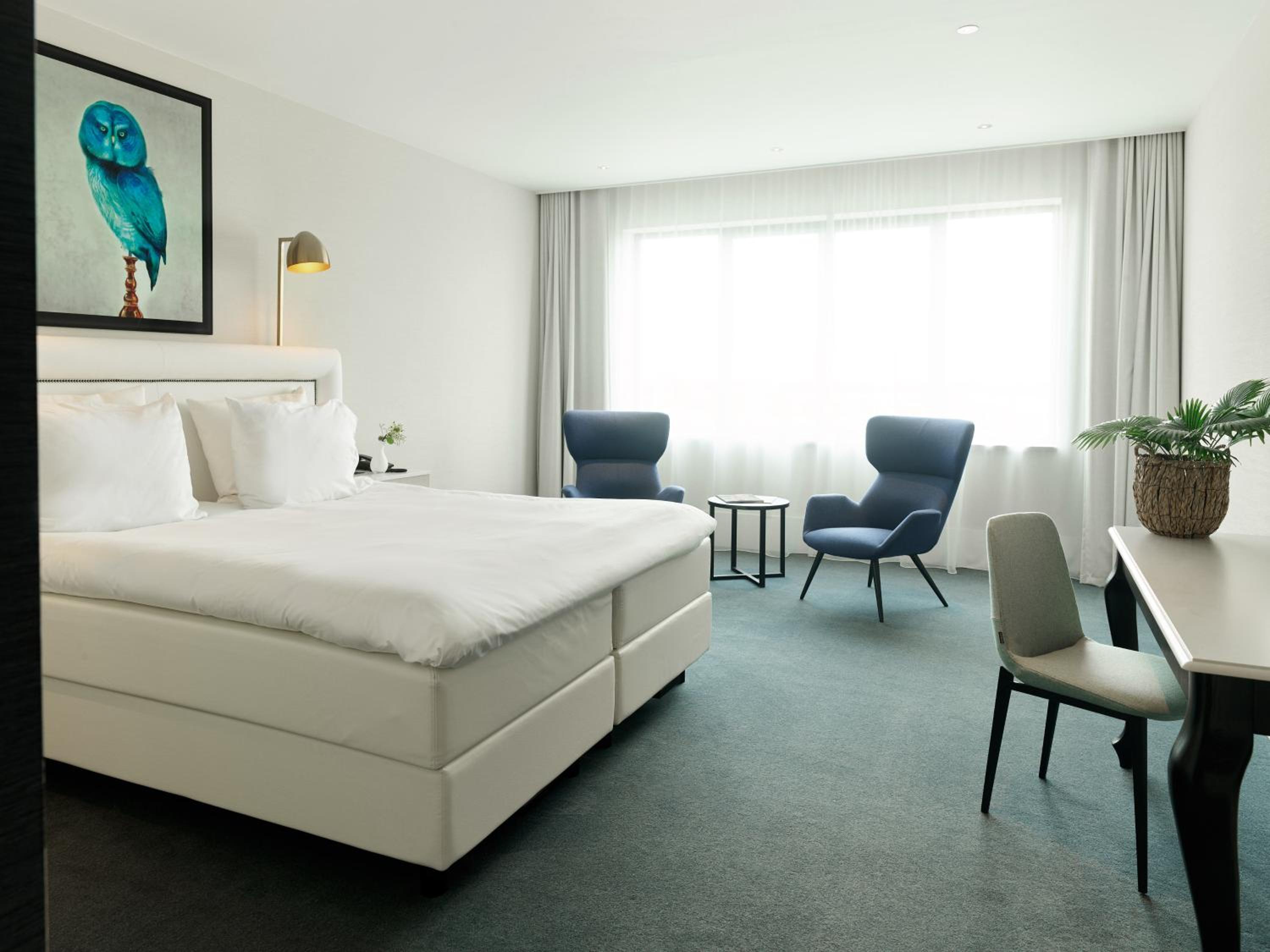 Deluxe King Room - Photo 2