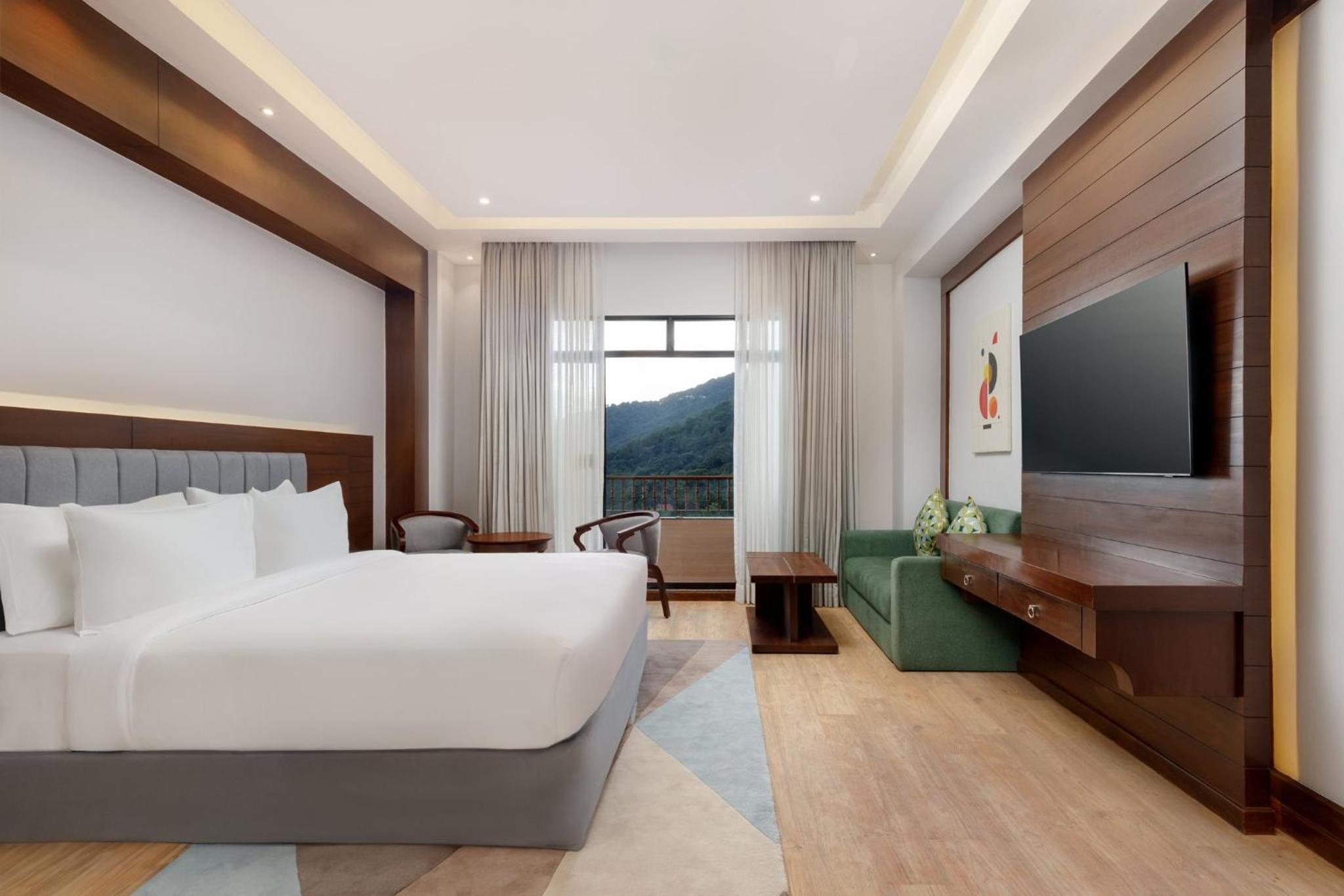 Premium King Room - Photo 6
