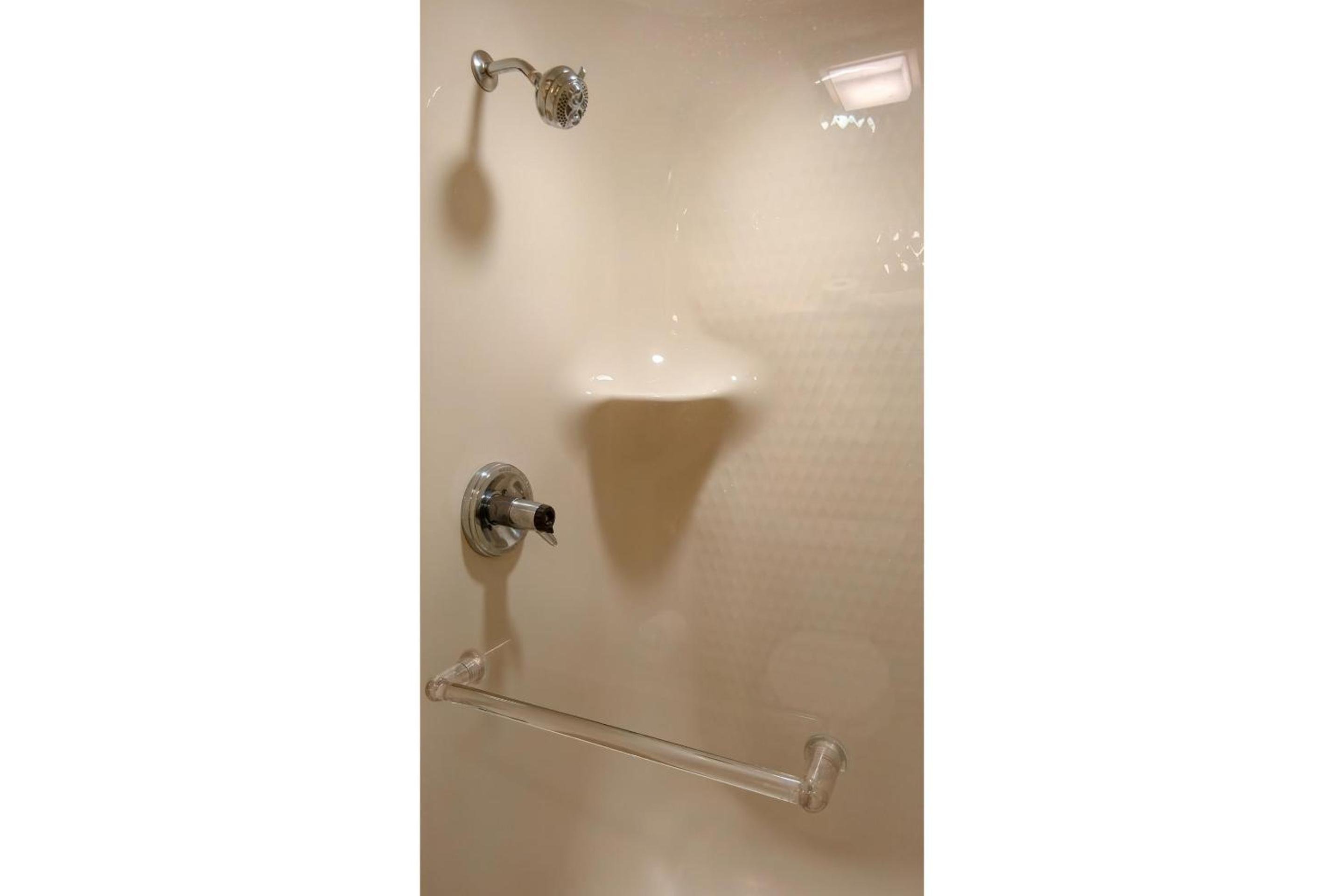 Queen Bed Accessible Non-Smoking with Roll-In-Shower