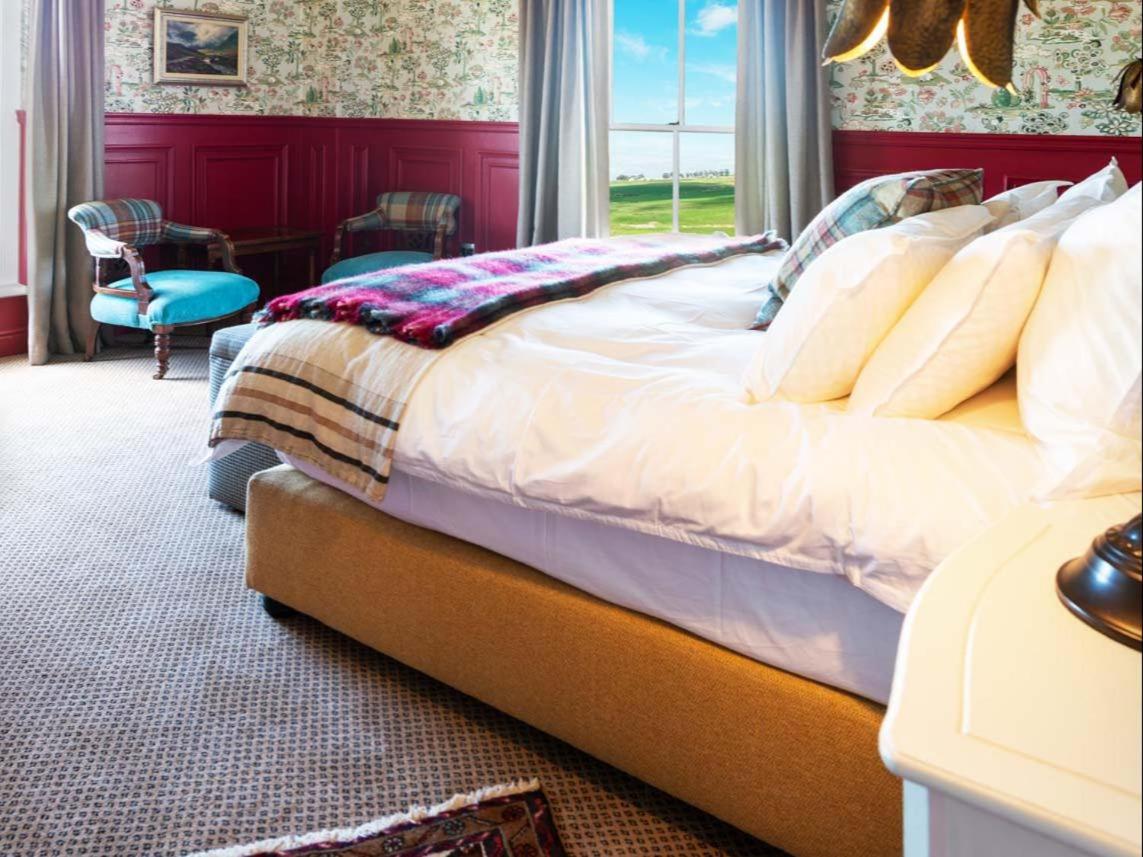 Luxury King Room photo 3