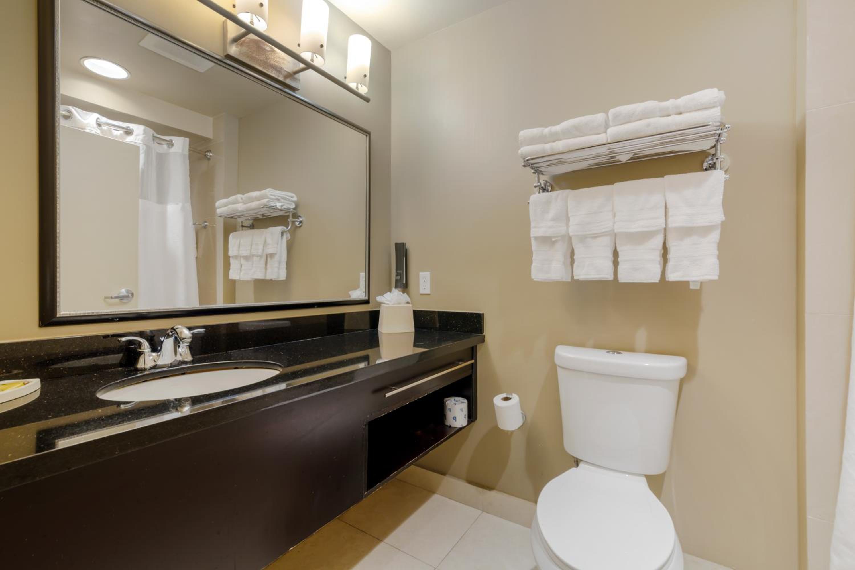 King Suite with Sofa Bed and Kitchenette - Non-Smoking - Photo 2