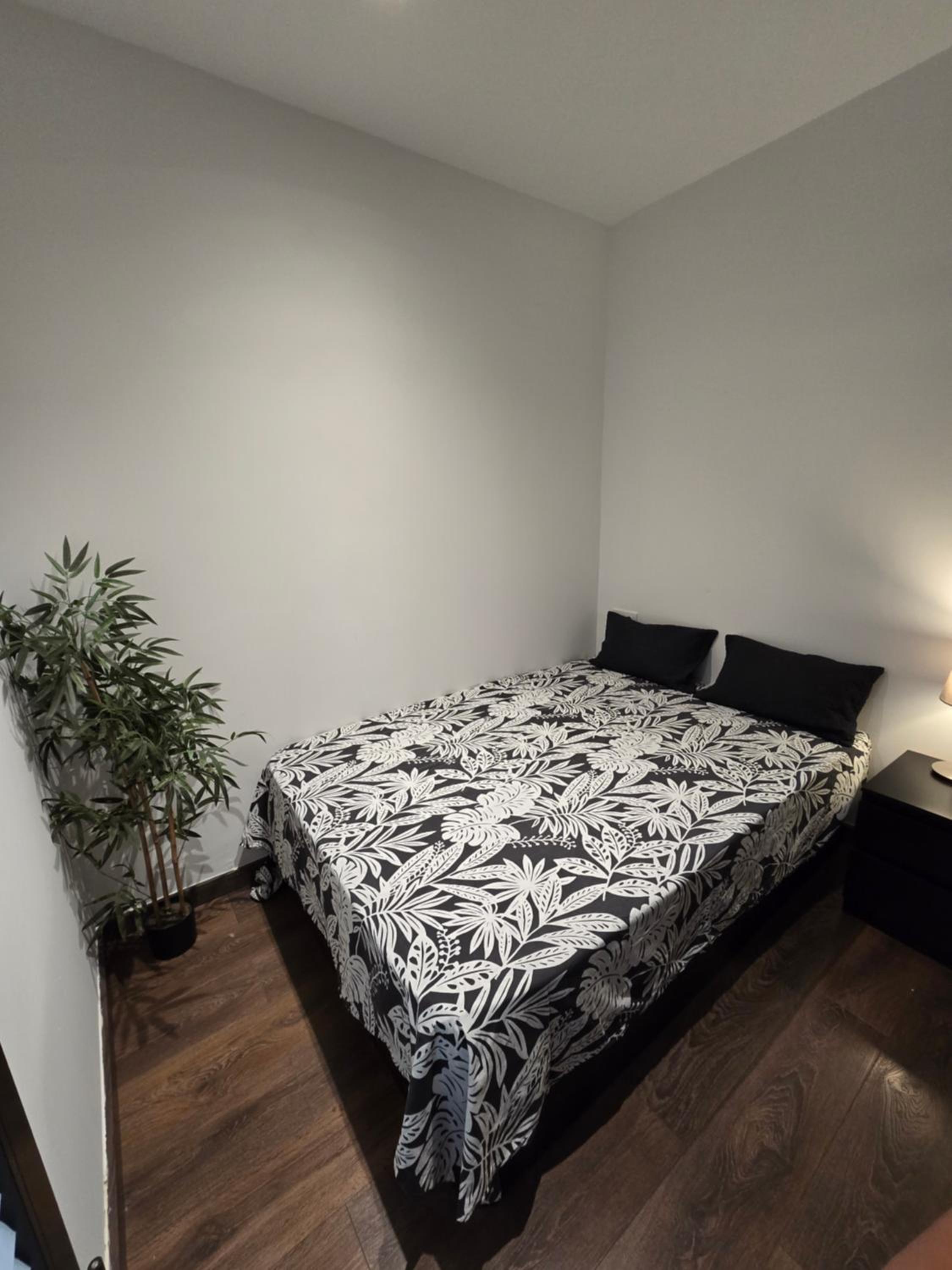 Two-Bedroom Apartment photo 3