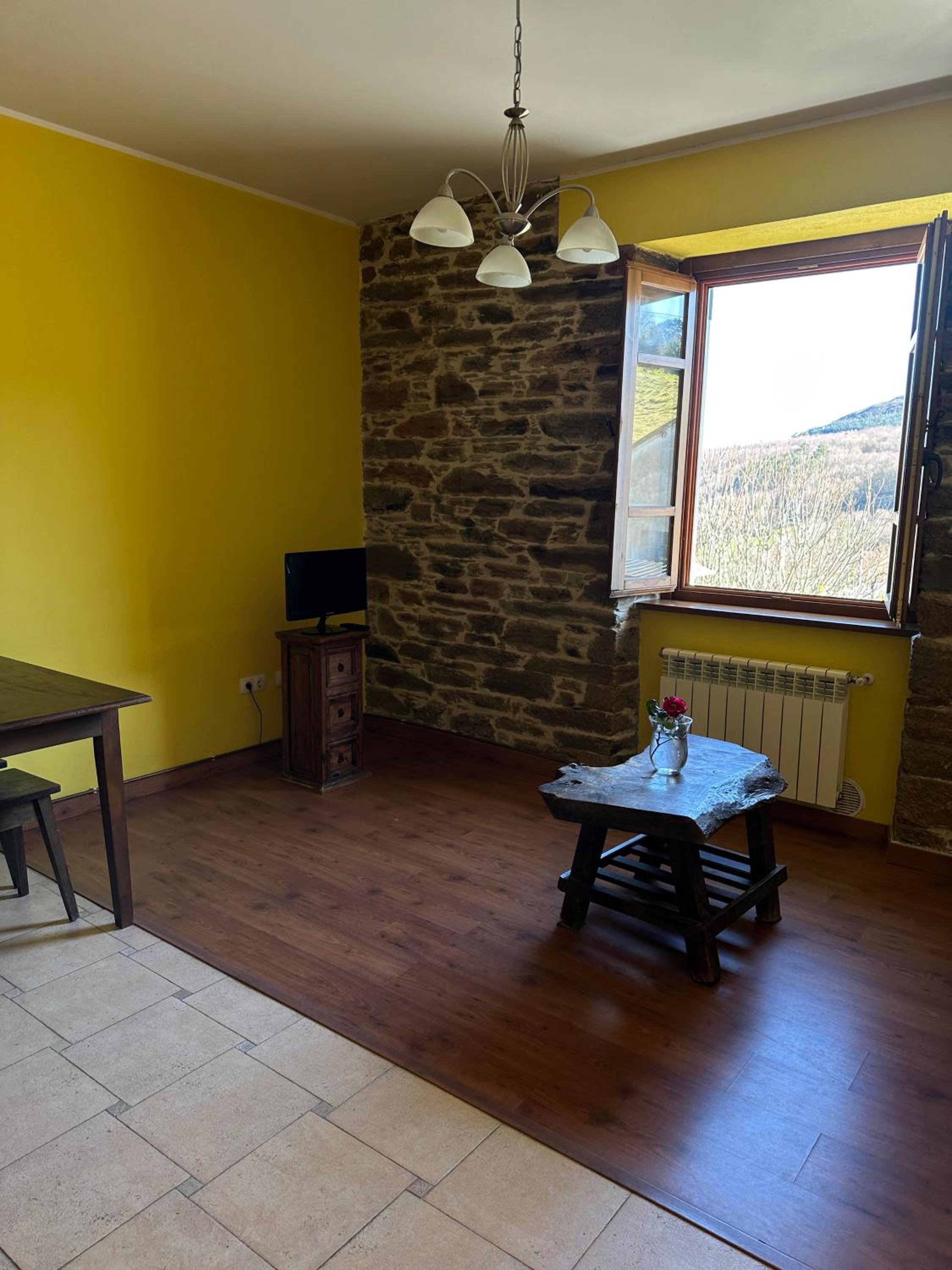 Apartment with Mountain View photo 2