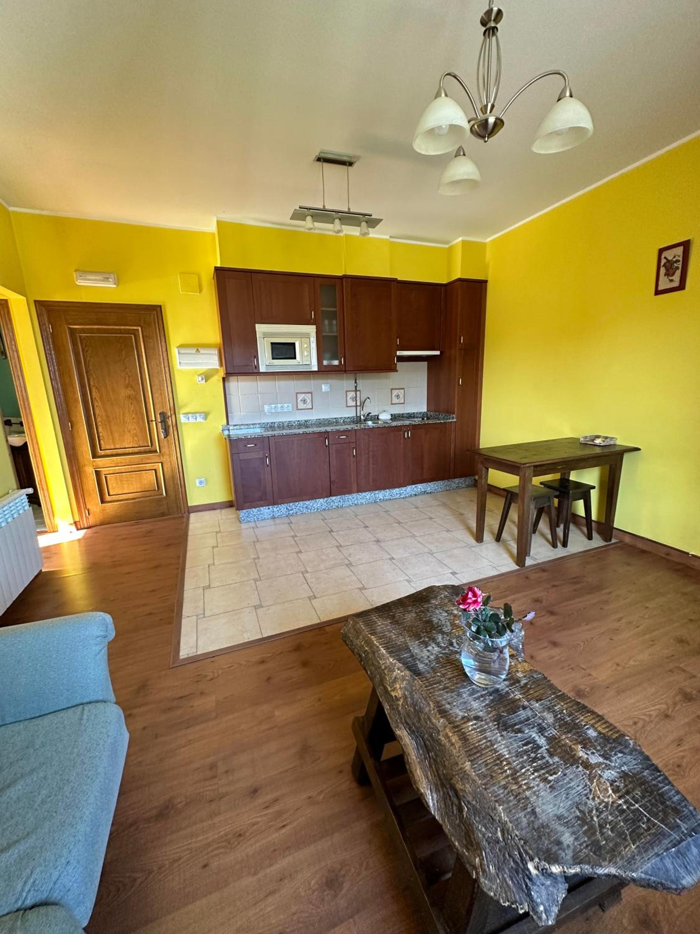 Apartment with Mountain View photo 3