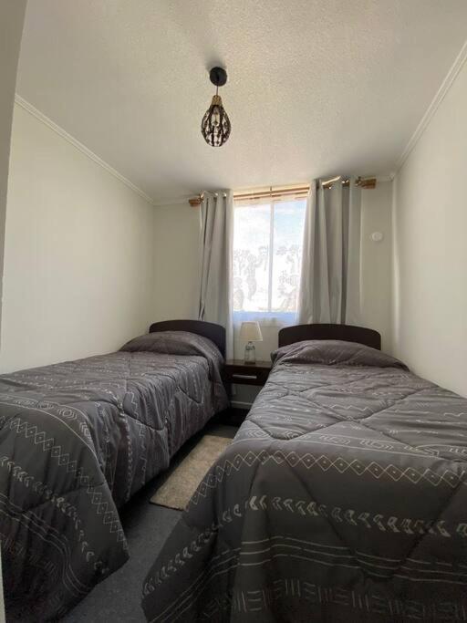 Three-Bedroom Apartment photo 1