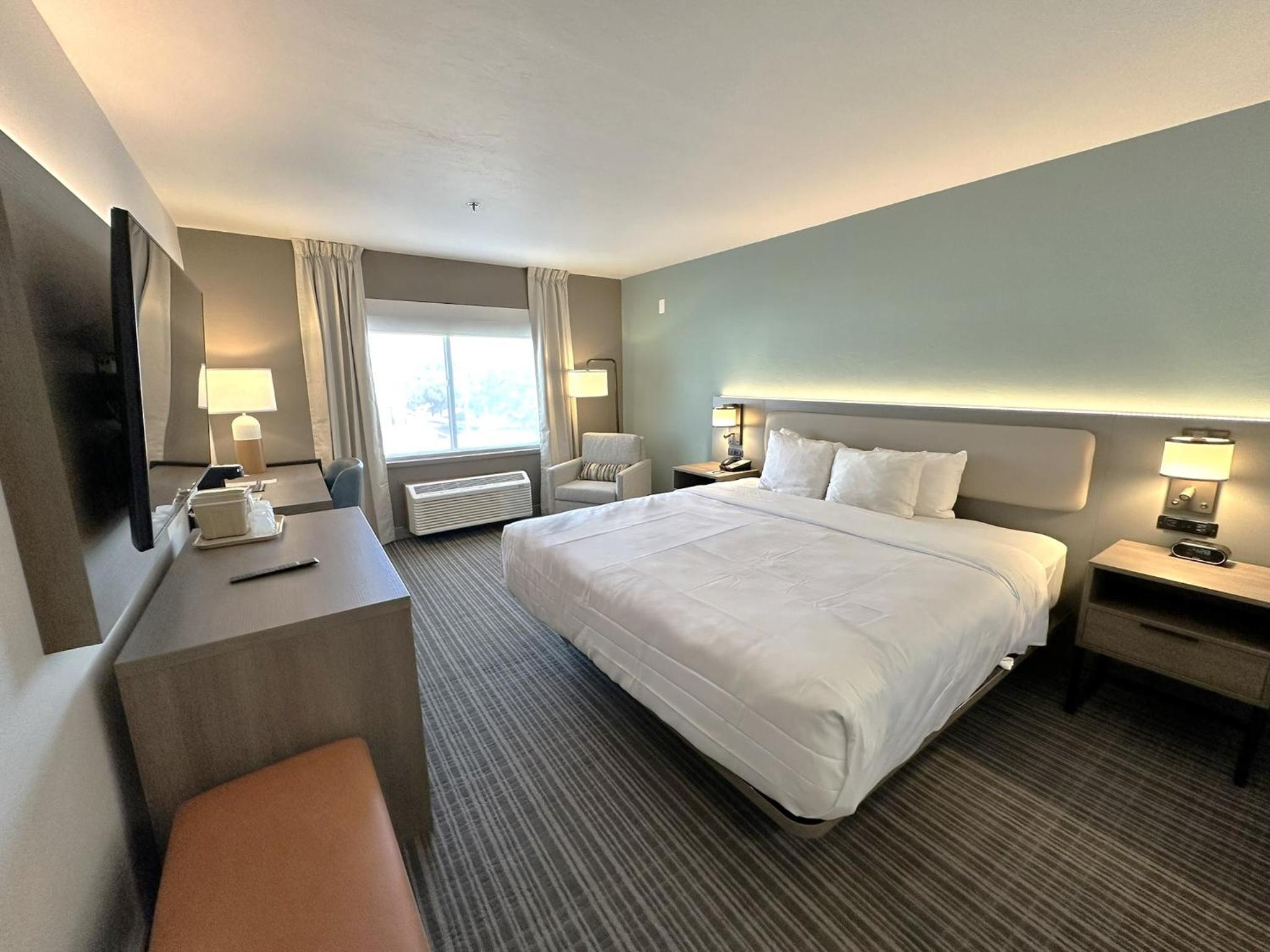 King Suite - Non-Smoking - Photo 8