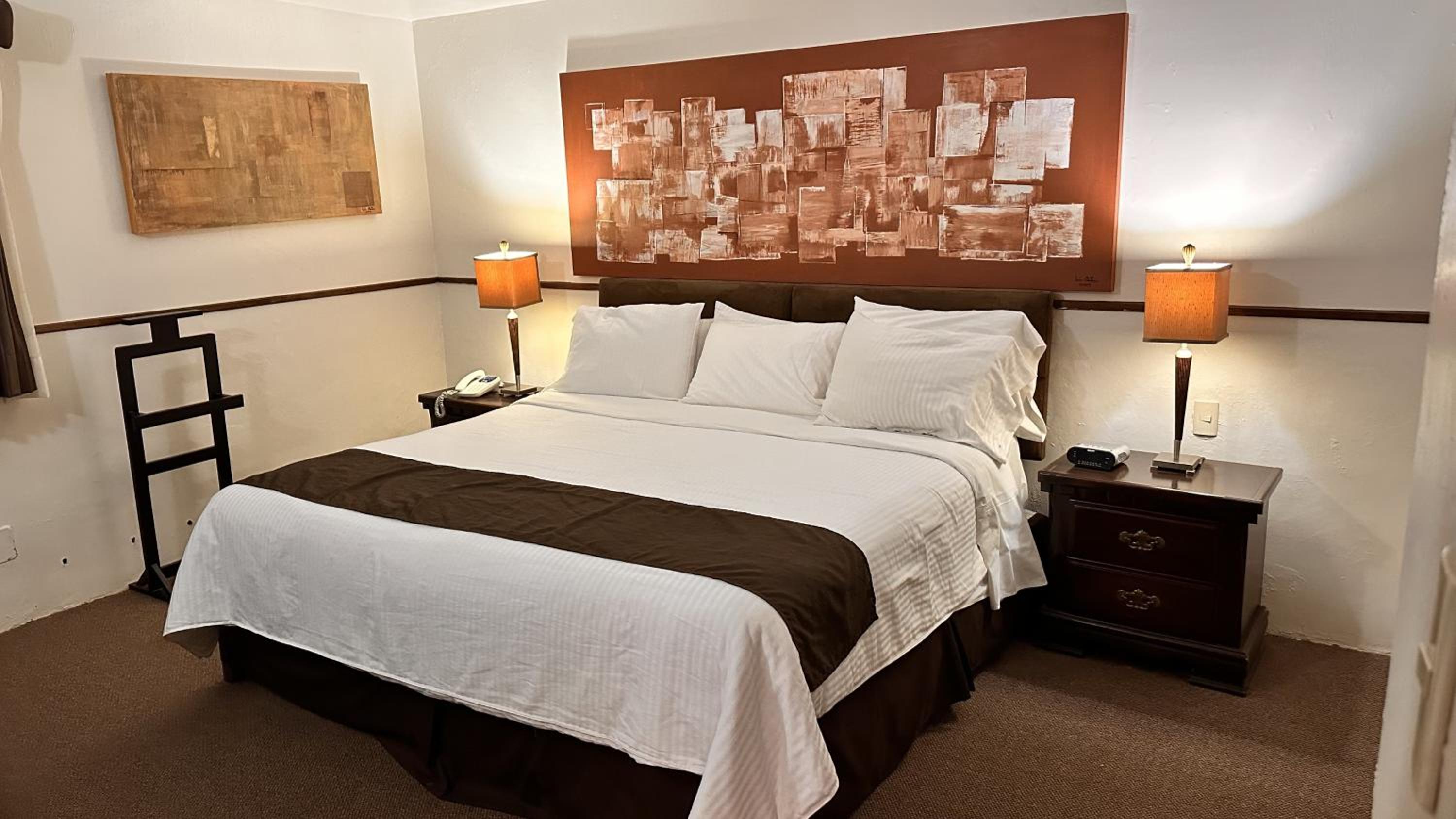 Deluxe Suite photo 1