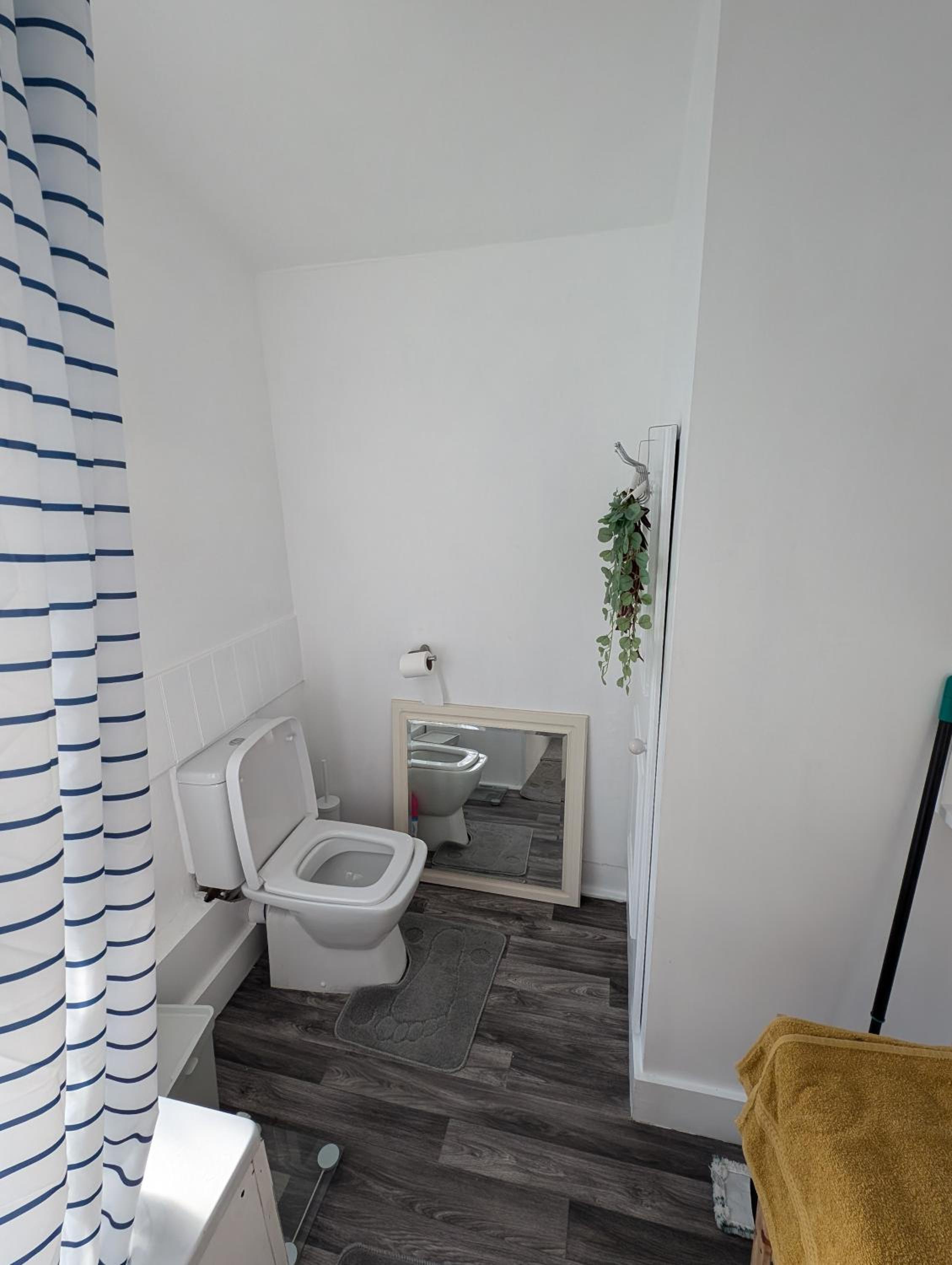 Deluxe One-Bedroom Apartment photo 3