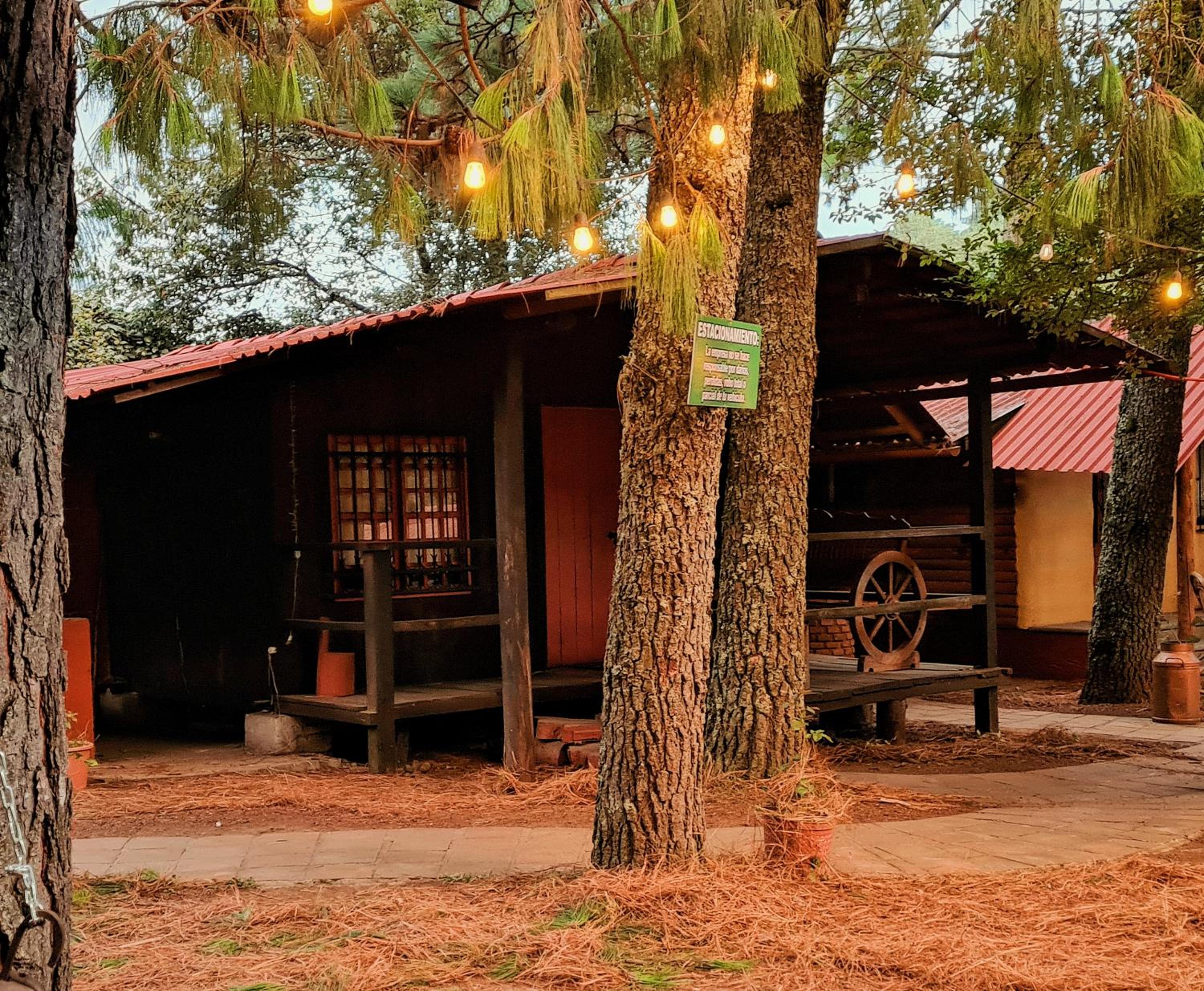 Deluxe Villa photo 2