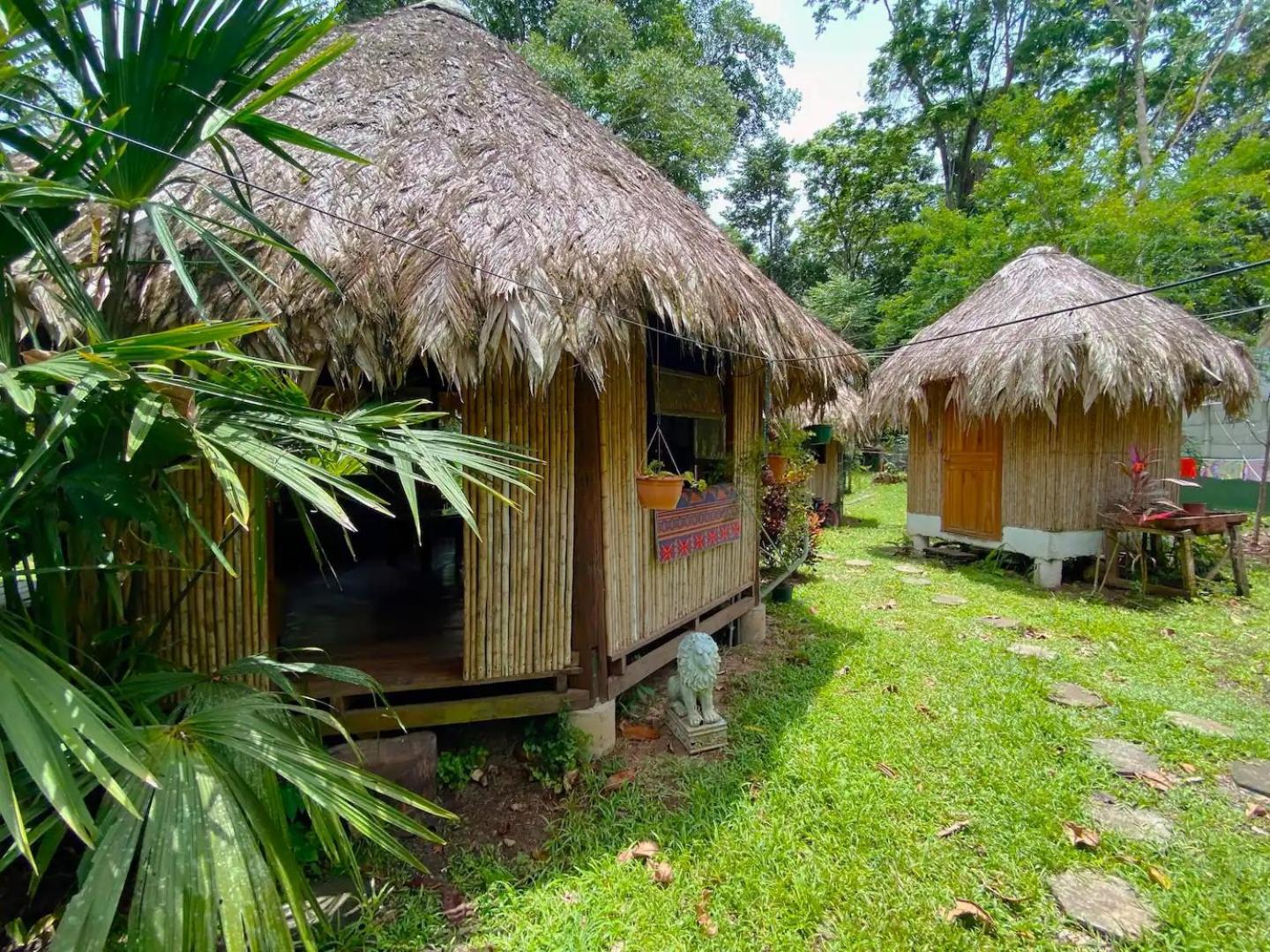 Three-Bedroom House photo 3
