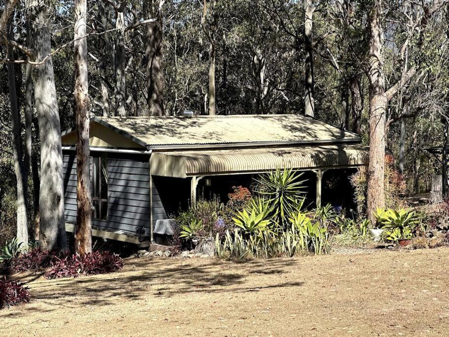 Family Bungalow photo 2